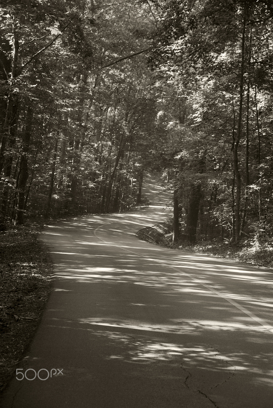 Nikon D40X sample photo. Road to tishomingo photography