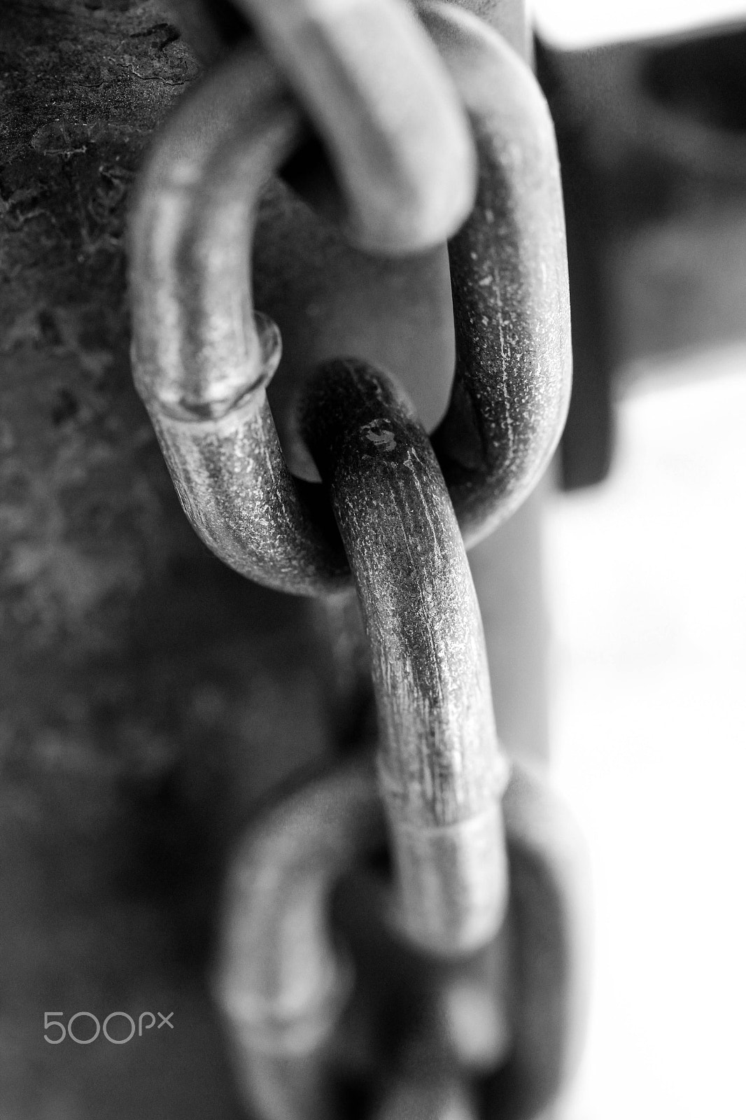 Canon EF-S 60mm F2.8 Macro USM sample photo. Linked together photography
