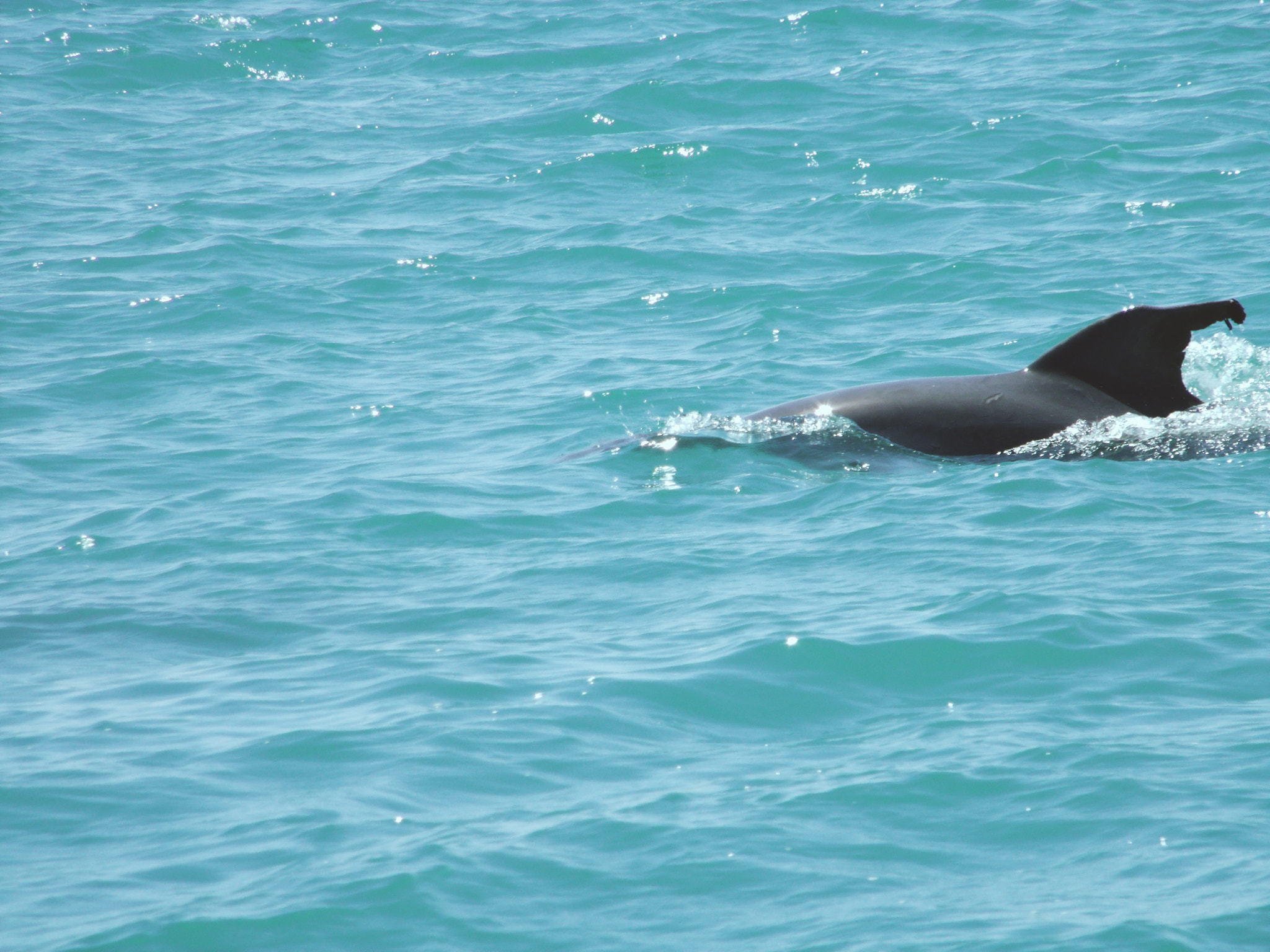 GENERAL IMAGING CO. X400 sample photo. Yeah, come in. the waters fine. photography