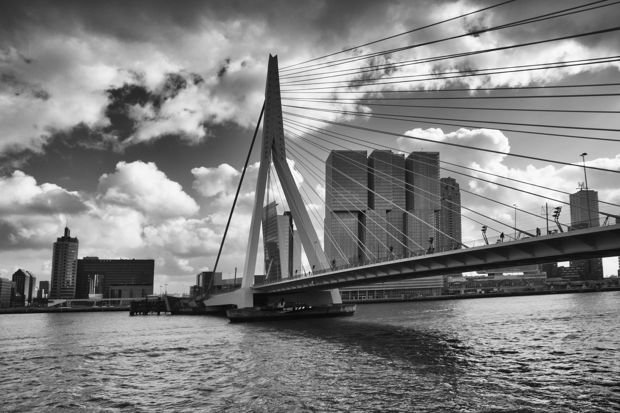 Canon EOS 500D (EOS Rebel T1i / EOS Kiss X3) sample photo. Erasmus bridge rotterdam. photography