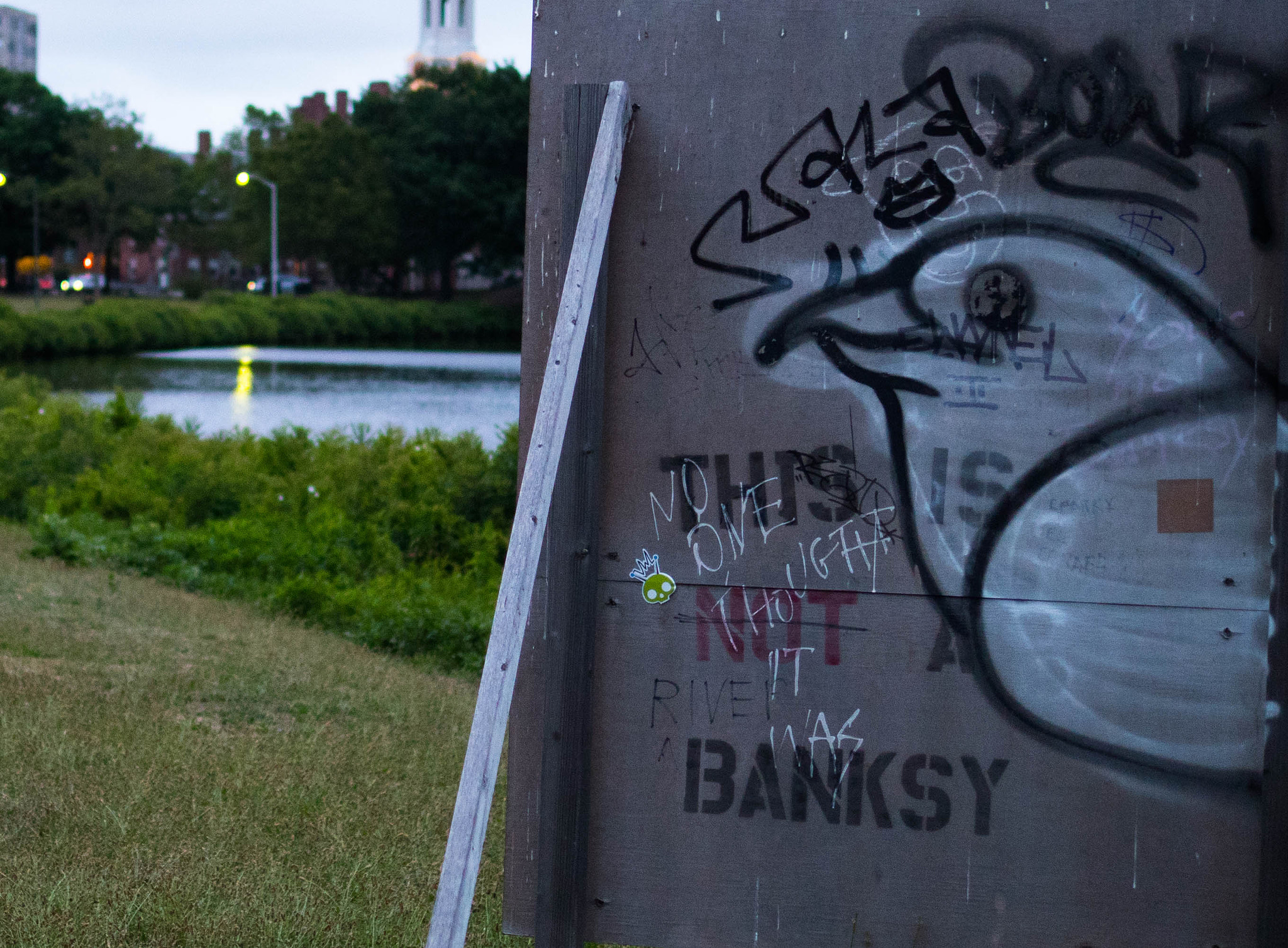 Panasonic Lumix DMC-GX8 + Panasonic Leica DG Summilux 25mm F1.4 II ASPH sample photo. This is not a banksy photography
