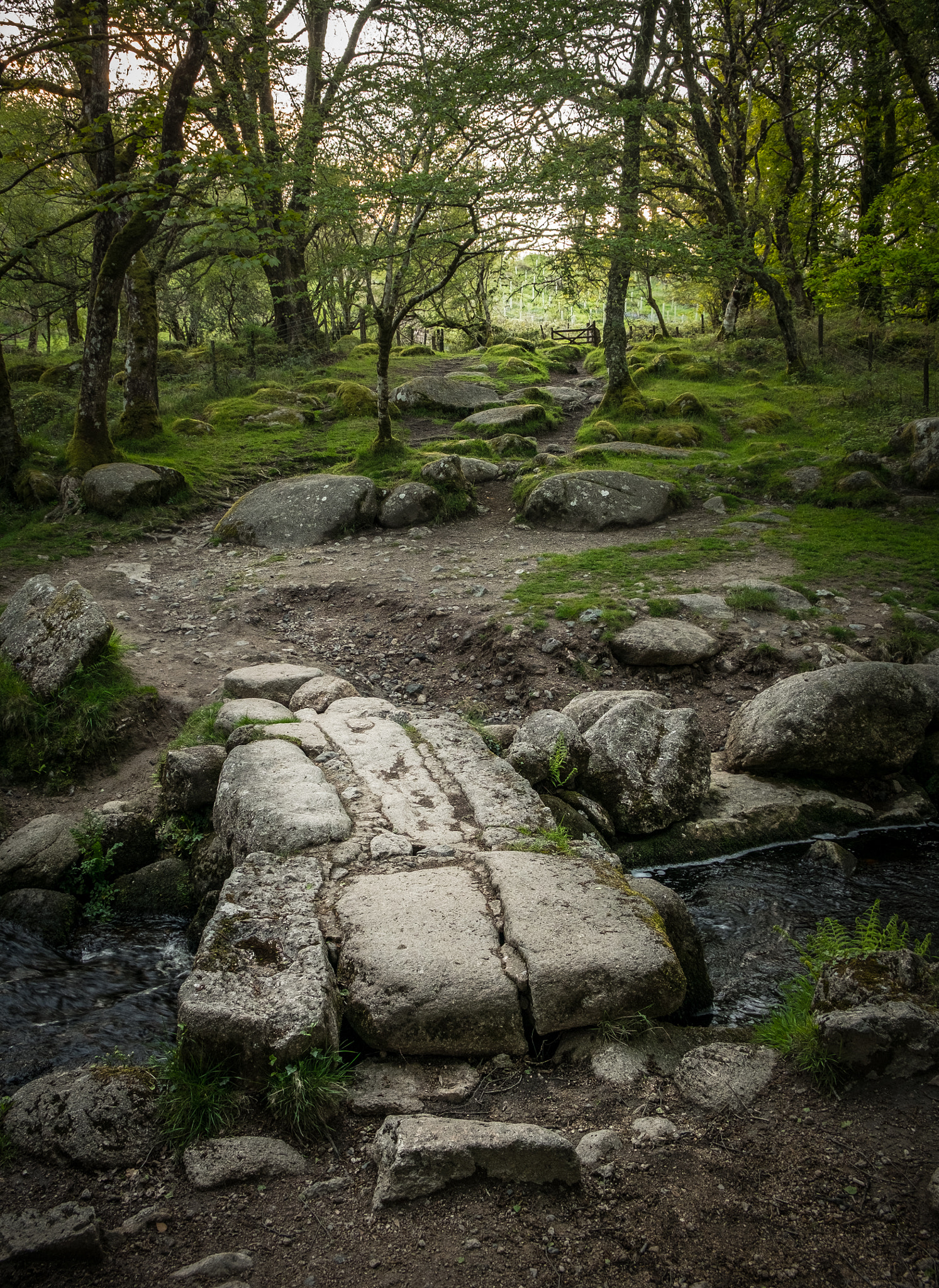 Fujifilm X-M1 + Fujifilm XF 18-55mm F2.8-4 R LM OIS sample photo. Becka brook clapper bridge photography