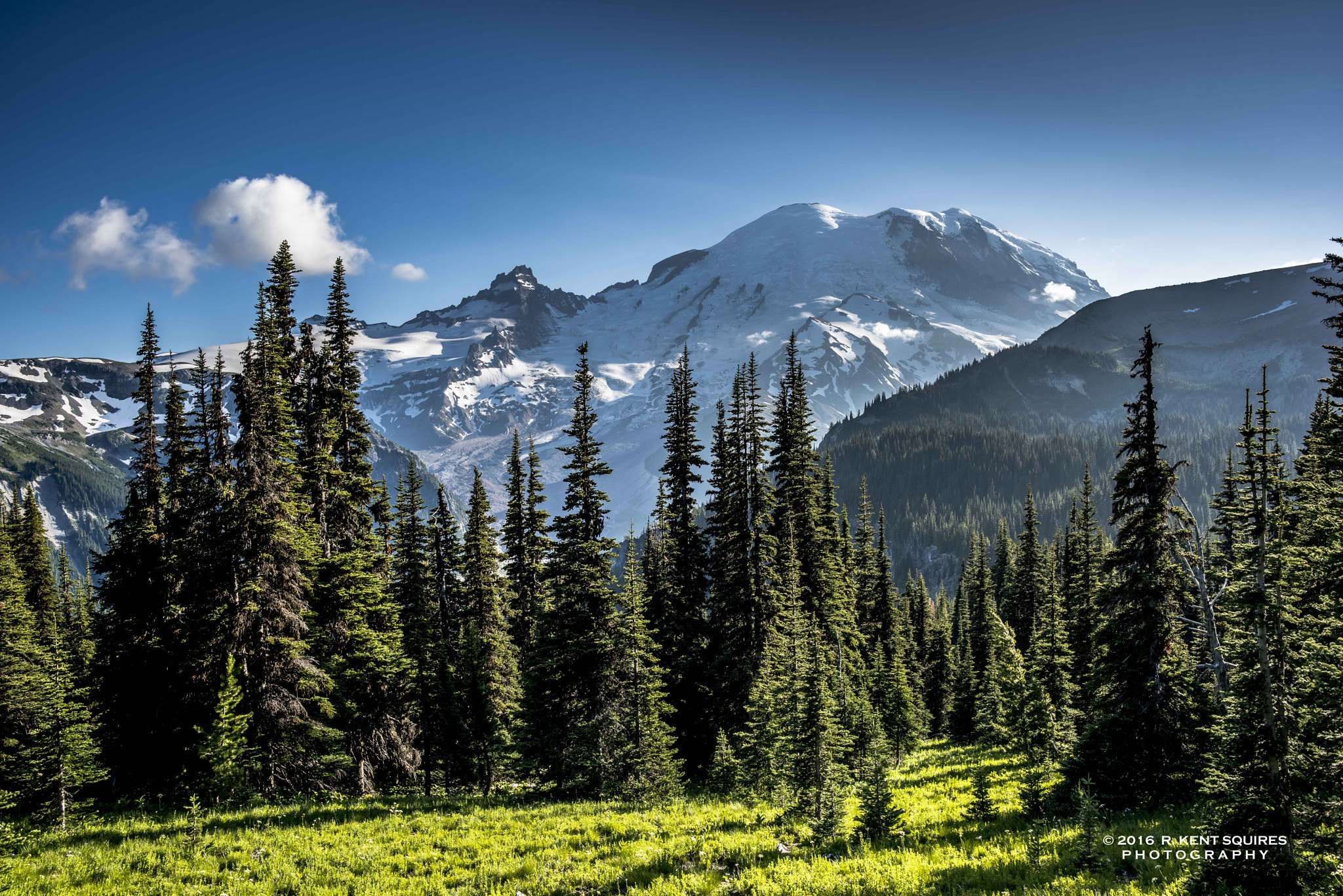 ZEISS Distagon T* 25mm F2 sample photo. Mt rainier from sunrise photography
