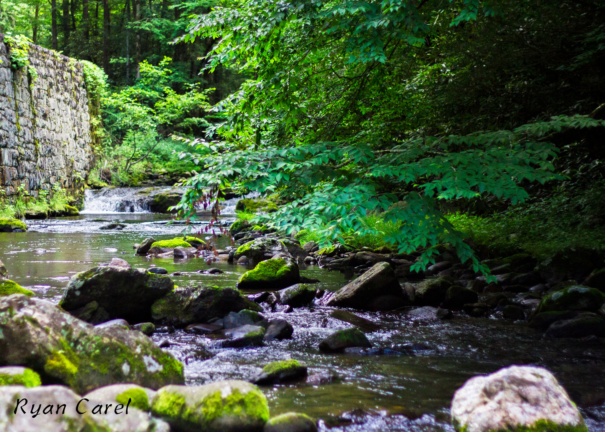 Canon EOS 60D + Canon EF 50mm F1.8 II sample photo. Flowing stream photography