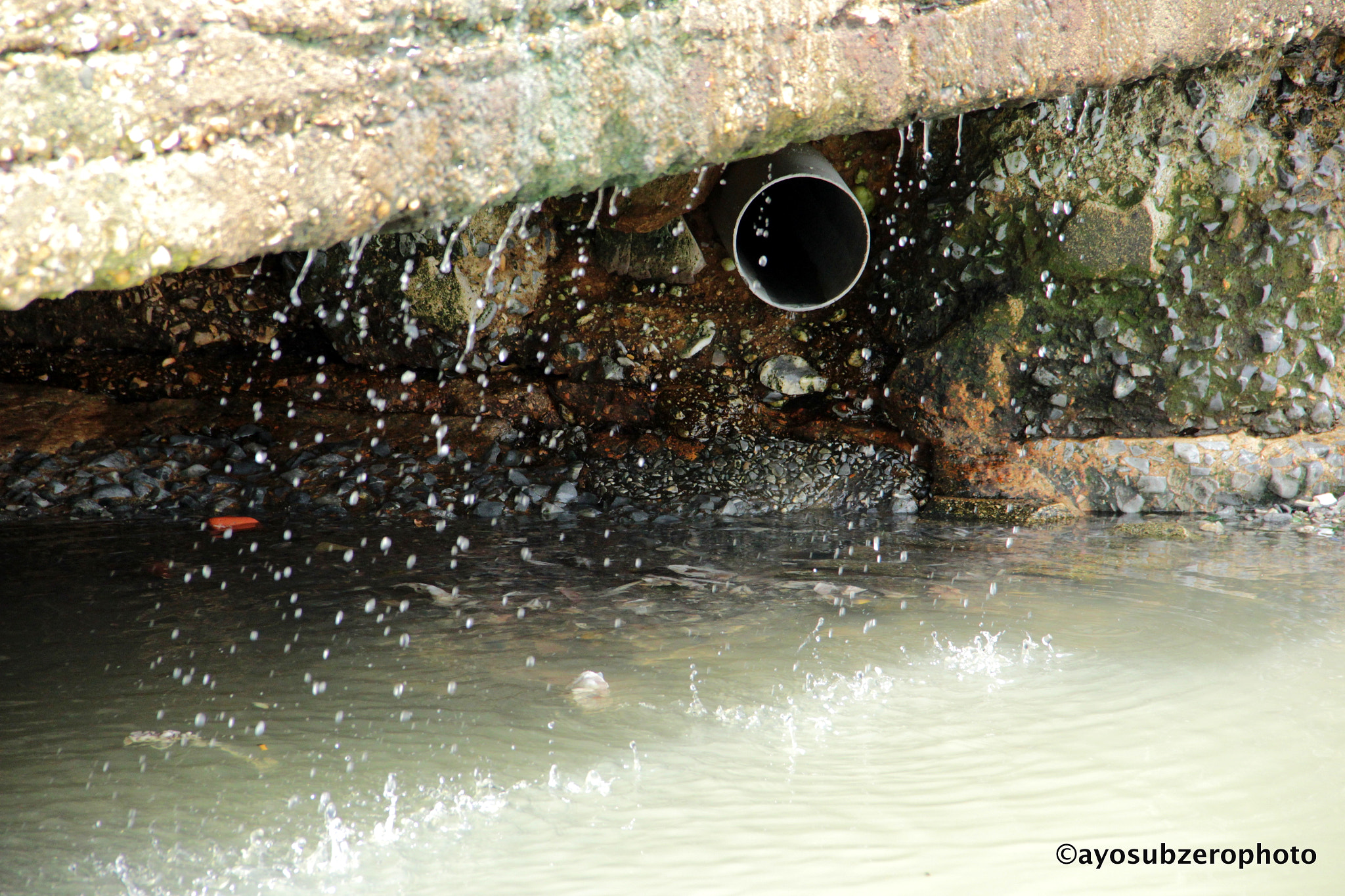 Canon EF-S 18-135mm F3.5-5.6 IS sample photo. Drip. photography