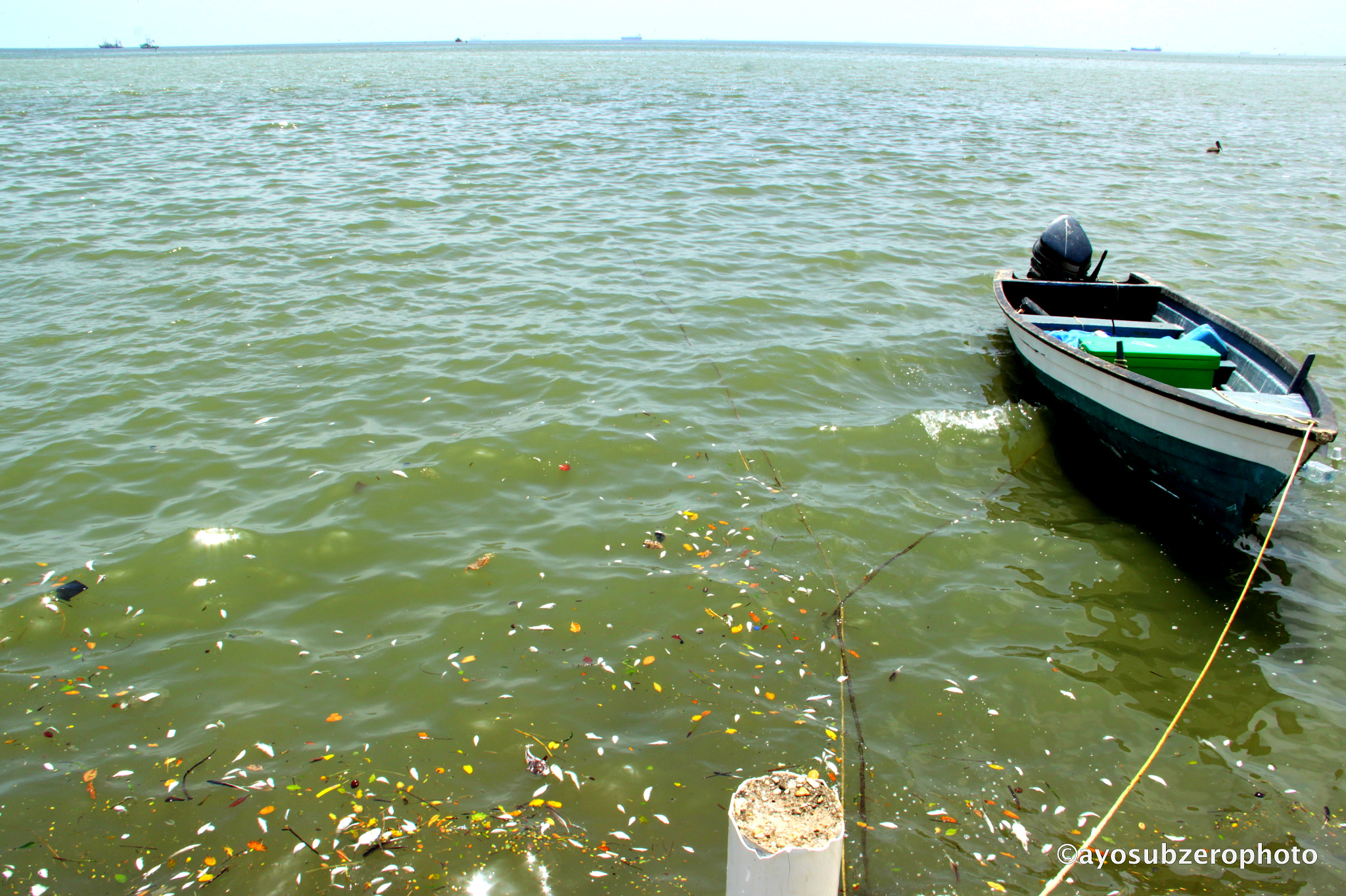 Canon EF-S 18-135mm F3.5-5.6 IS sample photo. Pirogue and waste photography