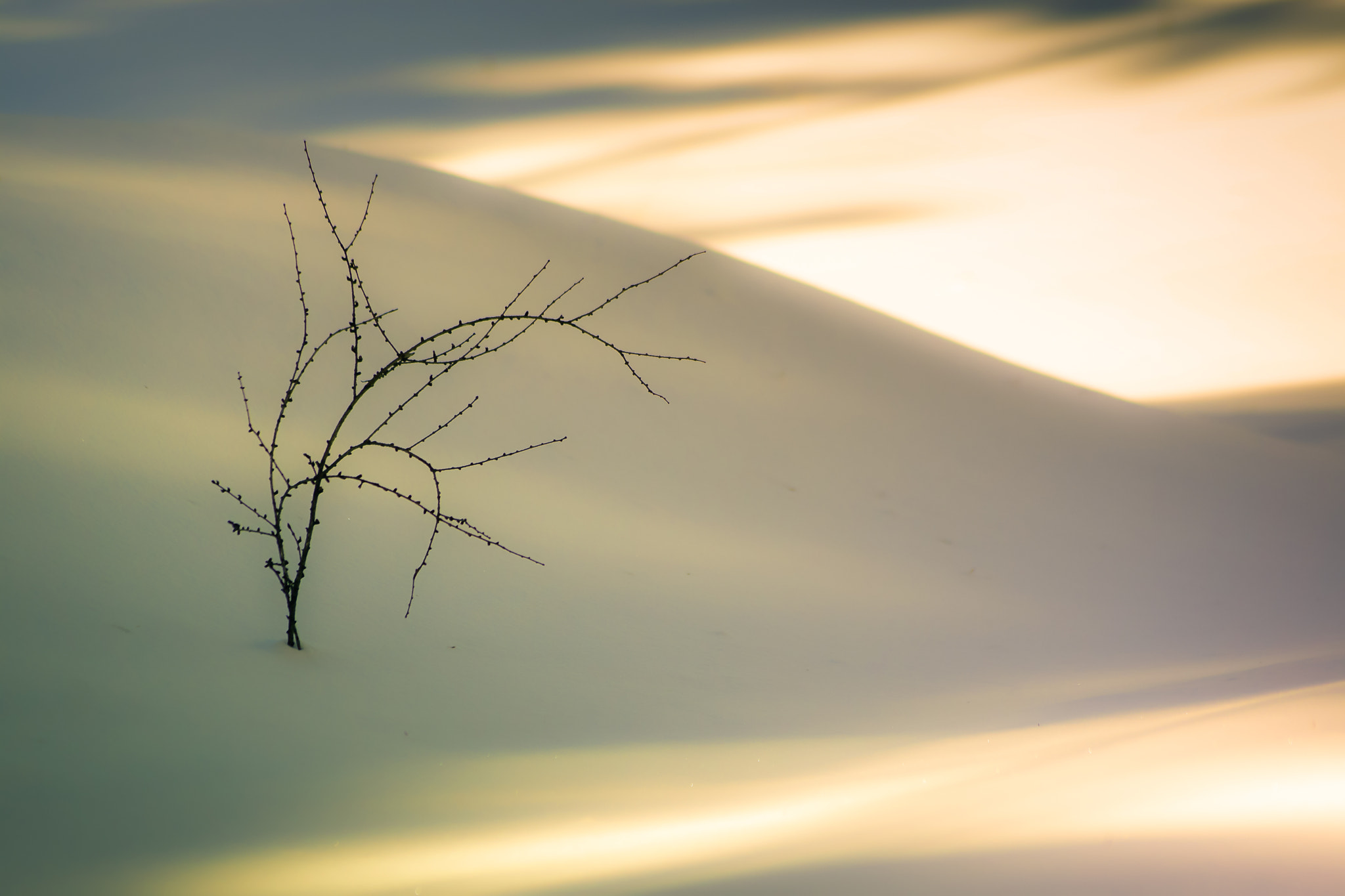 Sony SLT-A65 (SLT-A65V) + Sony DT 55-200mm F4-5.6 SAM sample photo. Snow and shadow photography