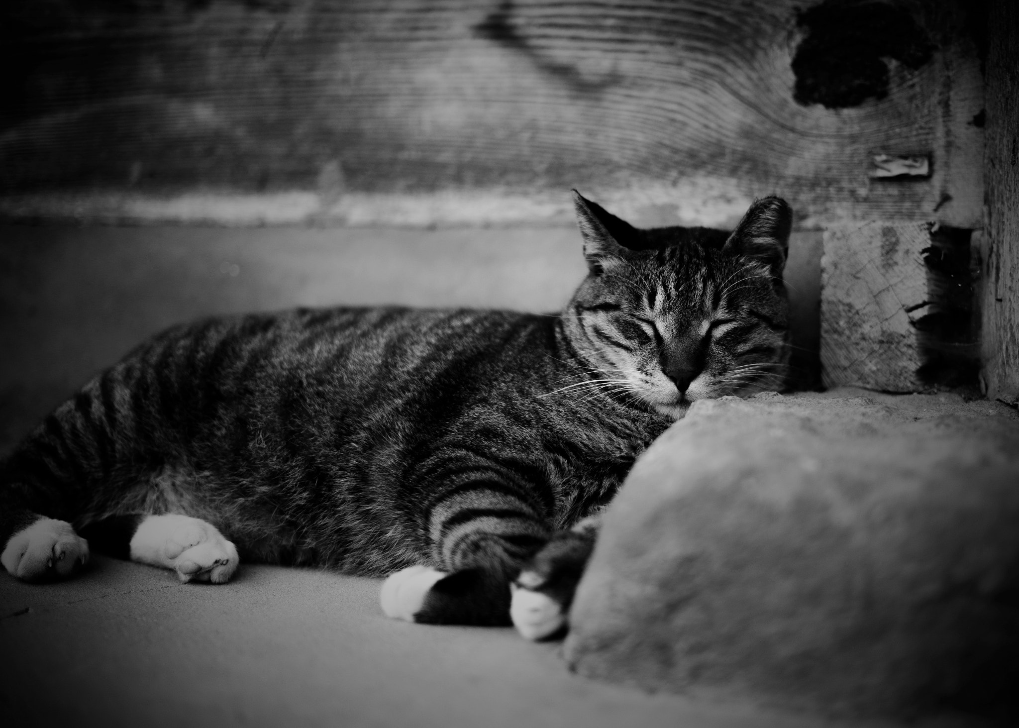 Leica Summilux-M 35mm F1.4 ASPH sample photo