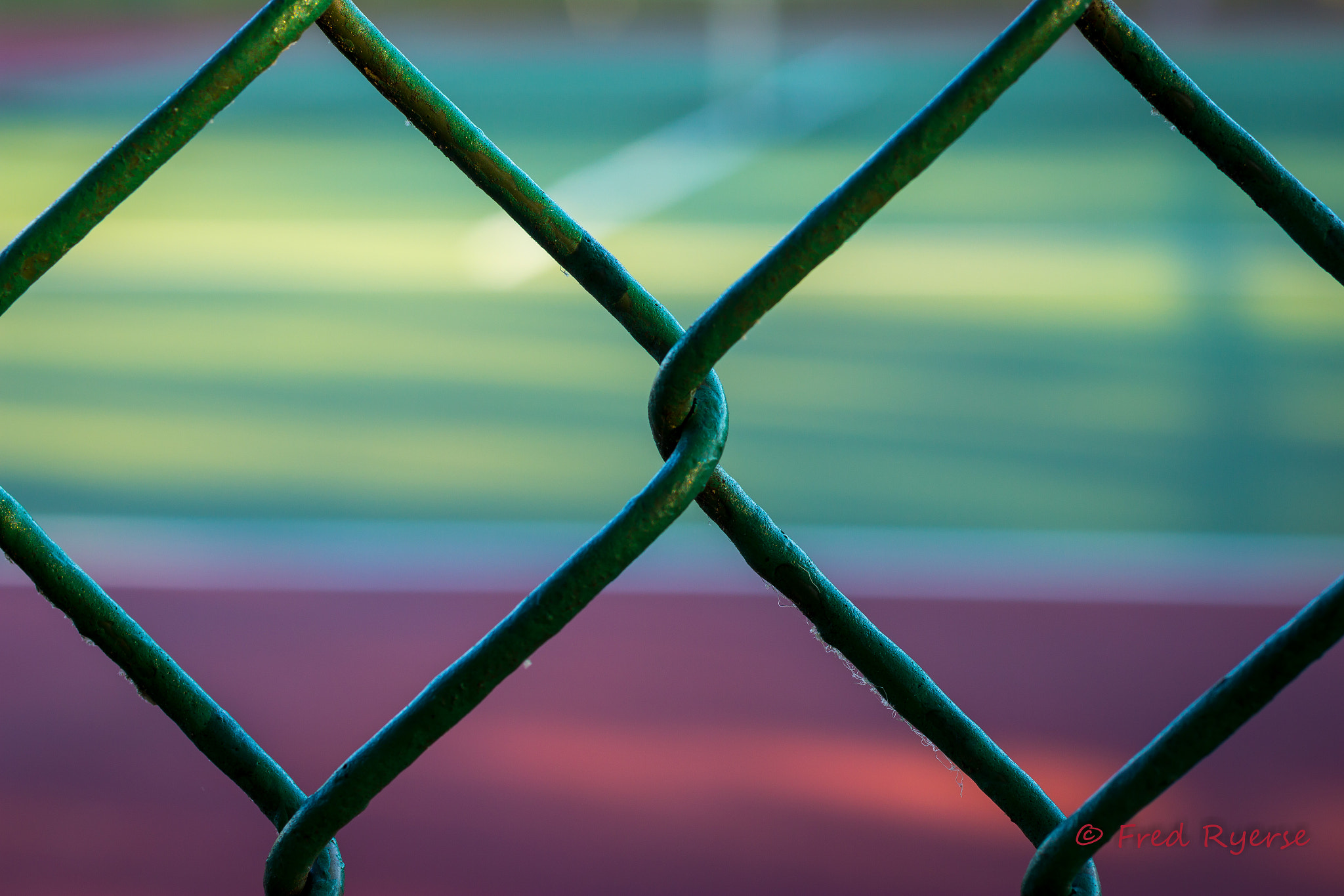 Canon EF 50mm F2.5 Macro sample photo. Tennis photography