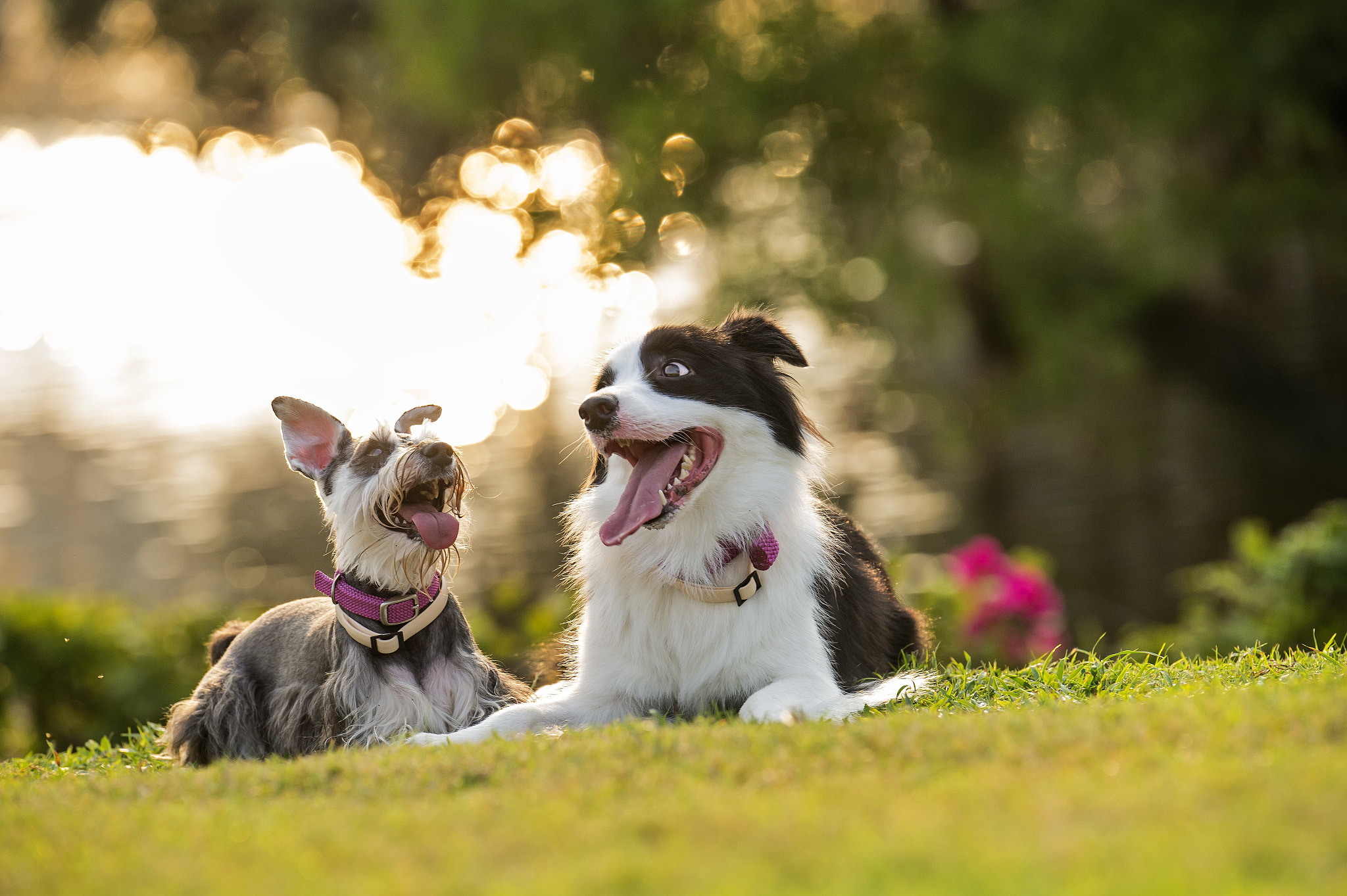 Nikon D4S sample photo. Sisters had fun time before sunset photography