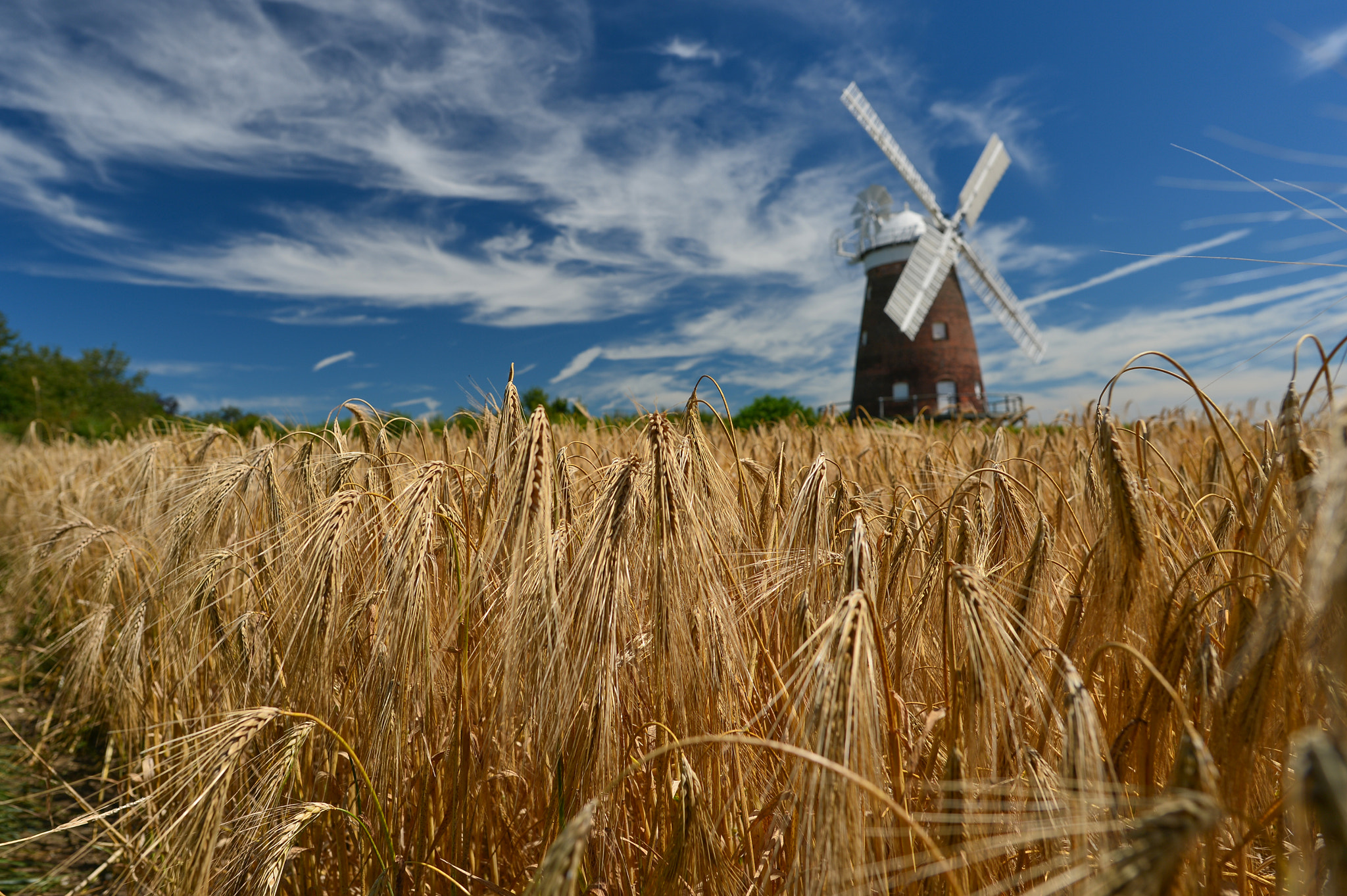 Nikon D4 + Nikon AF-S Nikkor 20mm F1.8G ED sample photo. Thaxted windmill photography