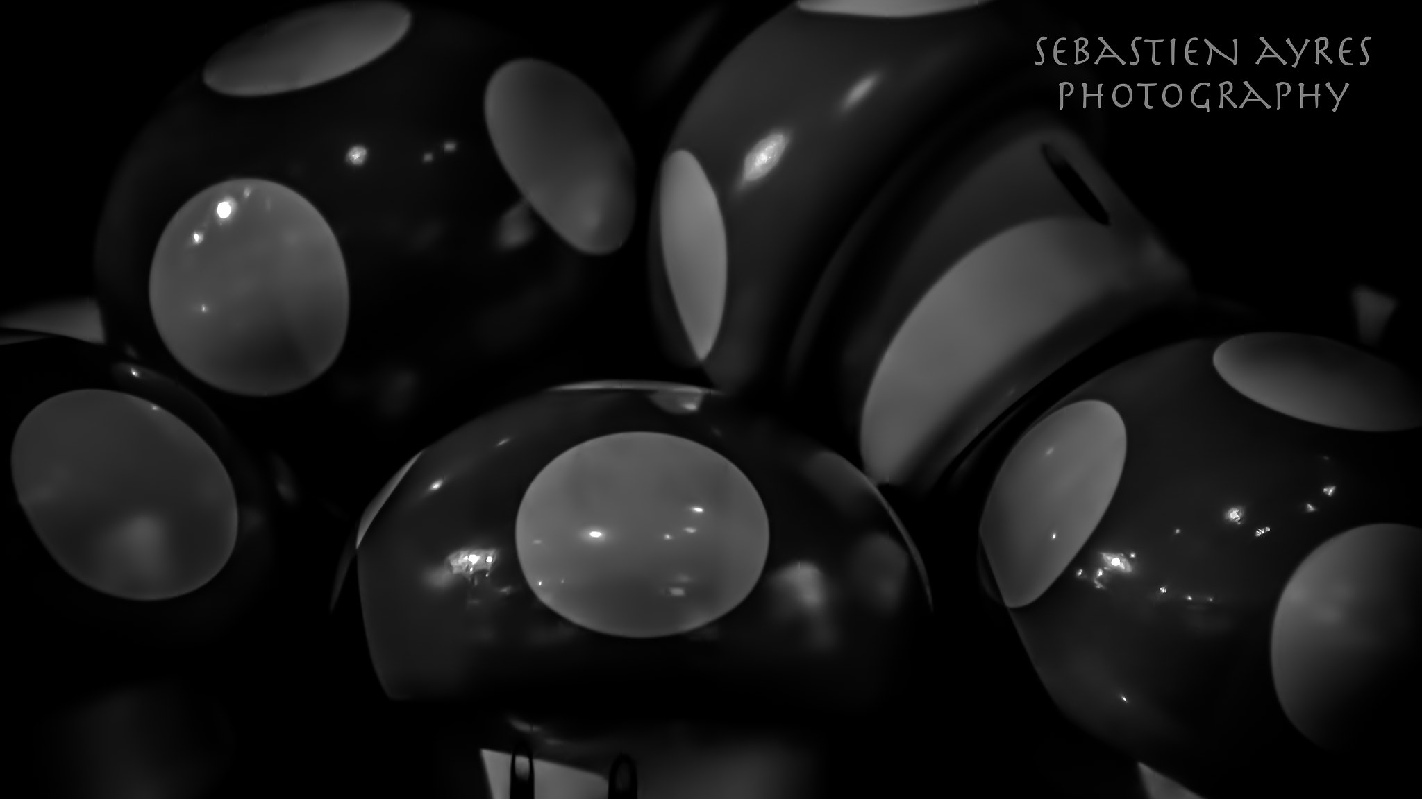 Pentax K-S2 sample photo. Shiny shrooms photography