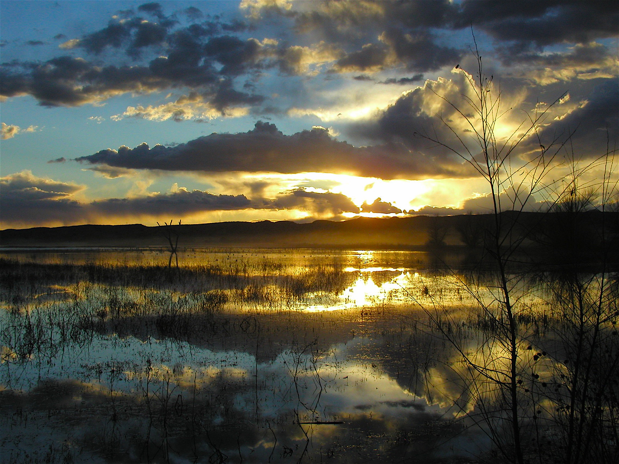 Olympus C4040Z sample photo. The beauty of new mexico bosque del apache photography