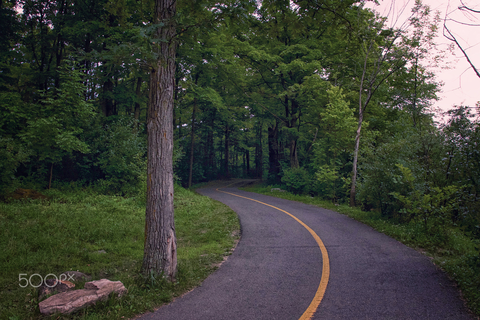 Canon EOS 650D (EOS Rebel T4i / EOS Kiss X6i) sample photo. By the river photography