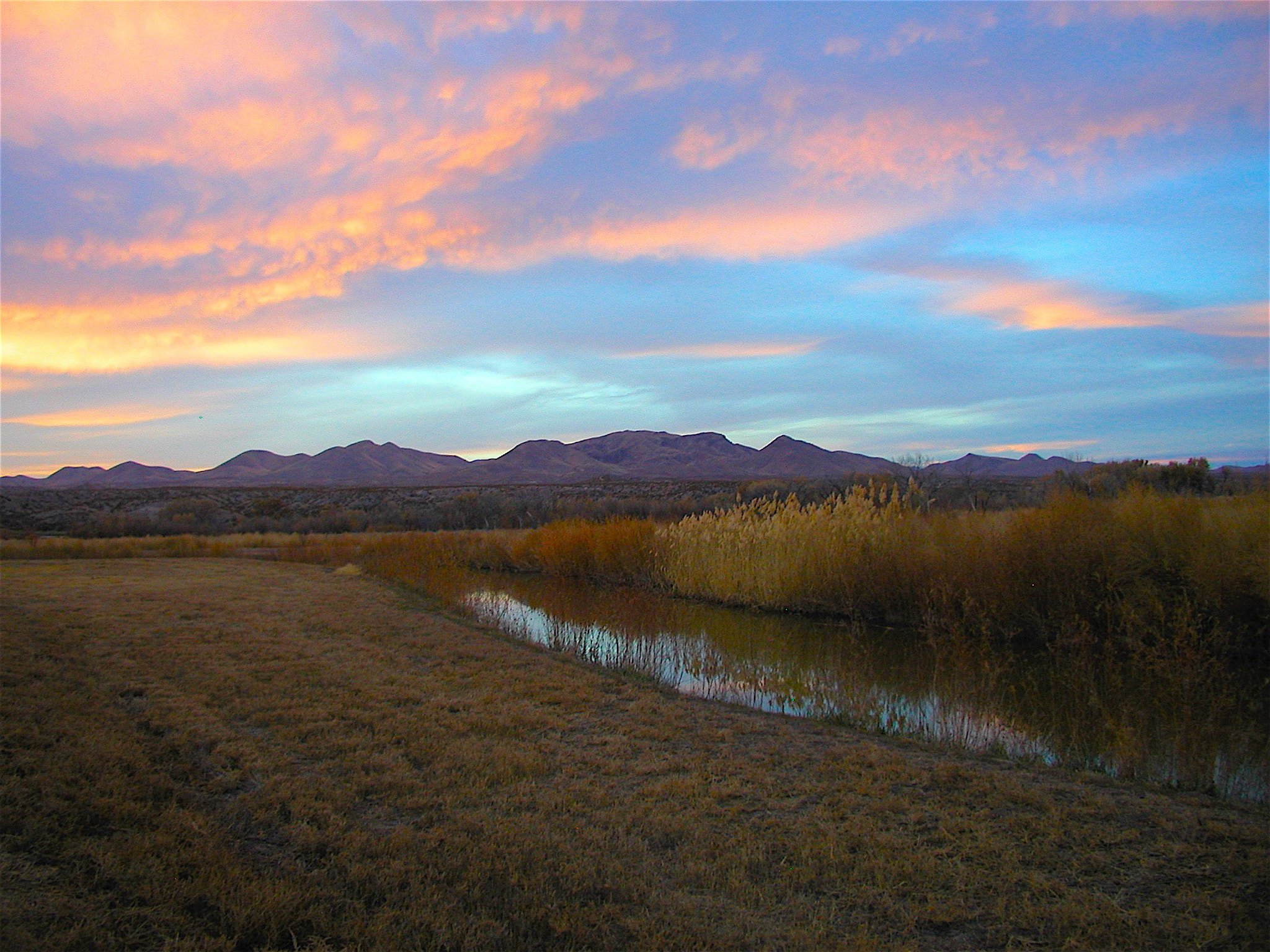 Olympus C4040Z sample photo. Proof of new mexico as "the land of enchantment" photography