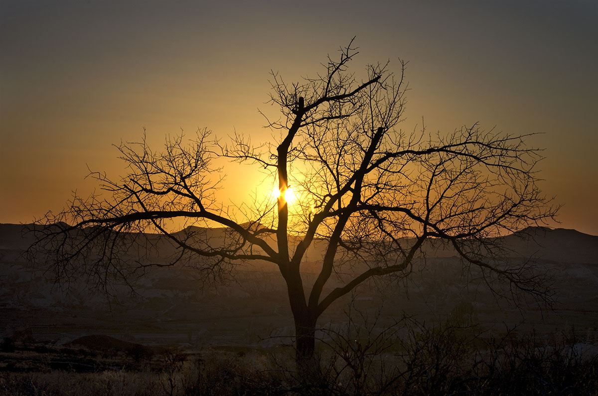 Pentax smc DA 55-300mm F4.0-5.8 ED sample photo. Apricot tree -sunset view cappadocia photography