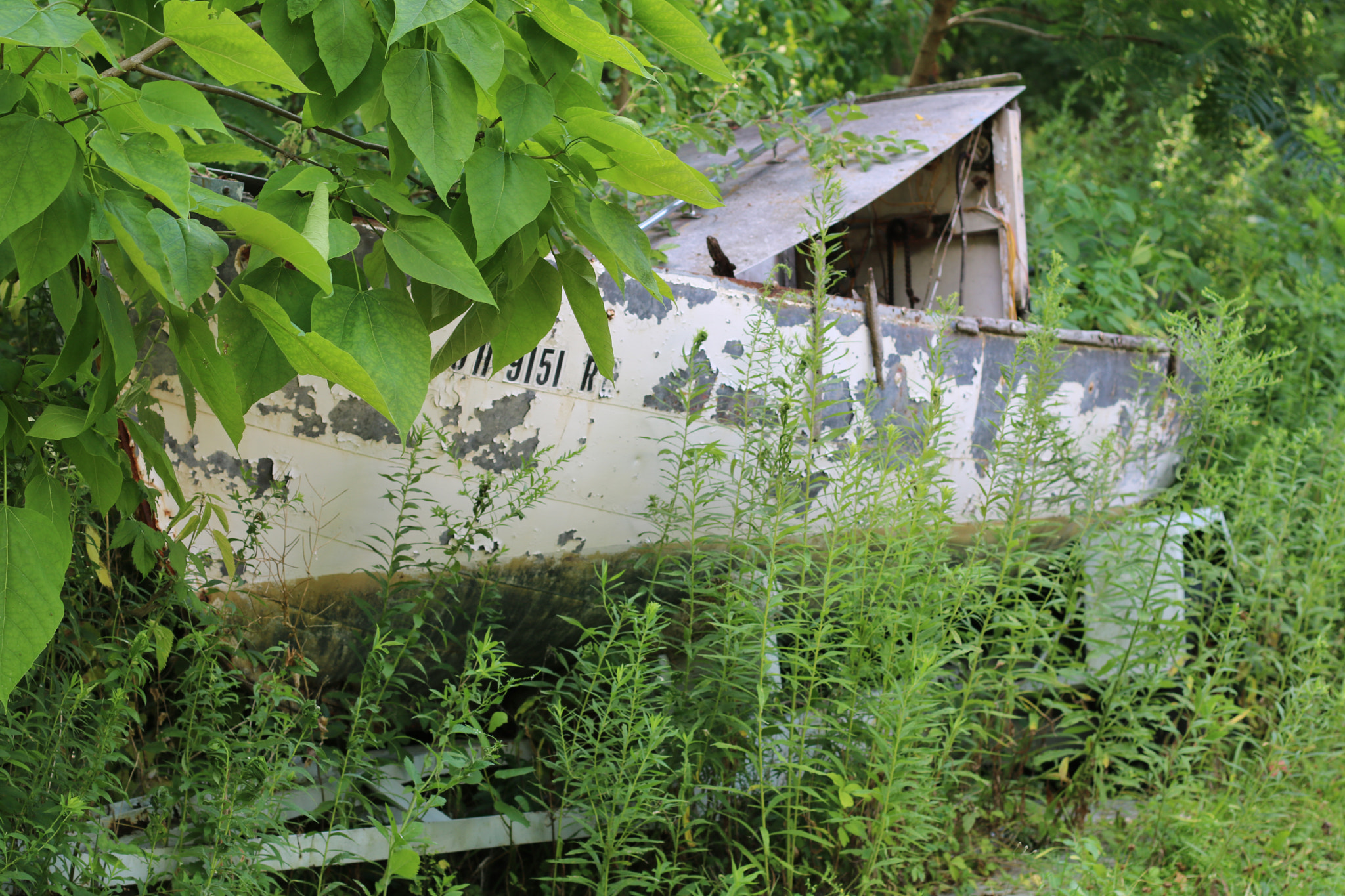 Canon EOS 750D (EOS Rebel T6i / EOS Kiss X8i) sample photo. Unforgotten boat photography