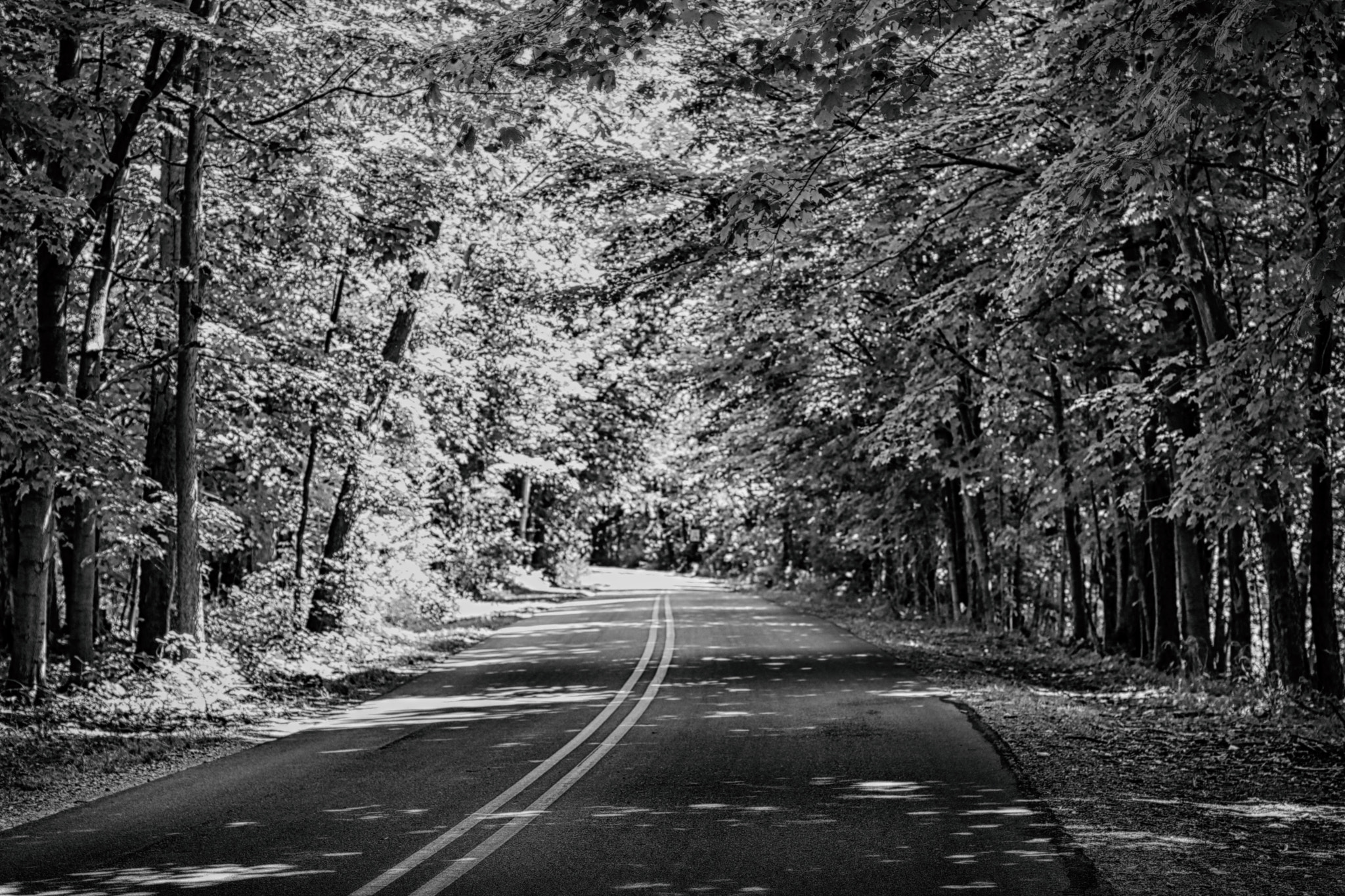 Canon EOS 750D (EOS Rebel T6i / EOS Kiss X8i) + Canon EF 50mm F1.4 USM sample photo. Black and white road photography