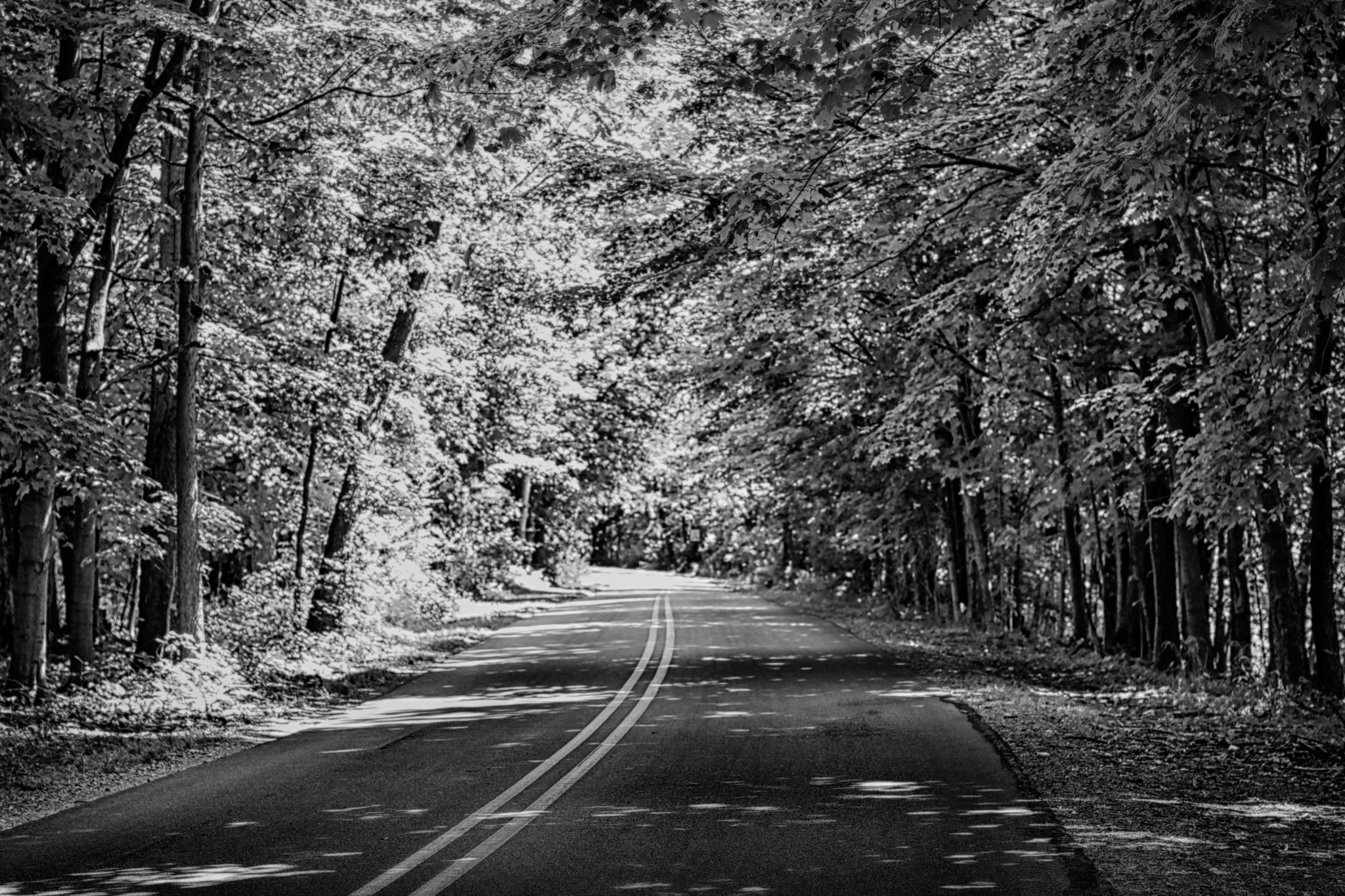 Canon EOS 750D (EOS Rebel T6i / EOS Kiss X8i) sample photo. Black and white road photography