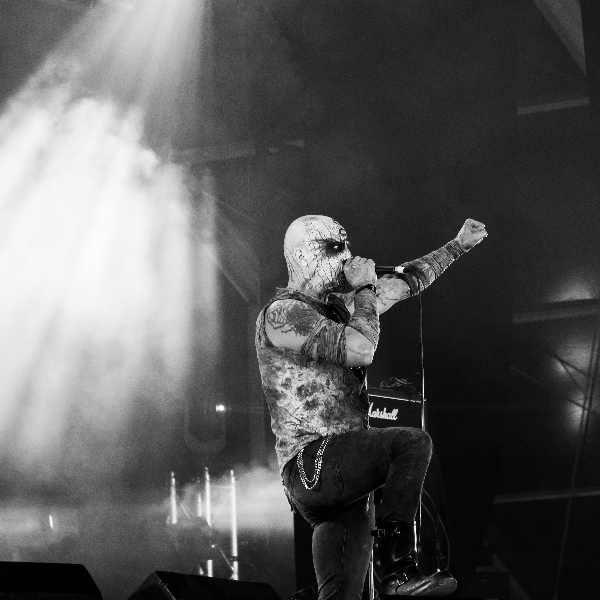 Sigma 17-70mm F2.8-4 DC Macro OS HSM sample photo. Victims, hellfest 2016 photography