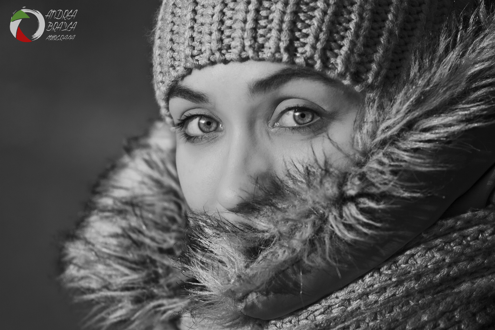 Canon EOS-1D Mark II N sample photo. Cold winter photography