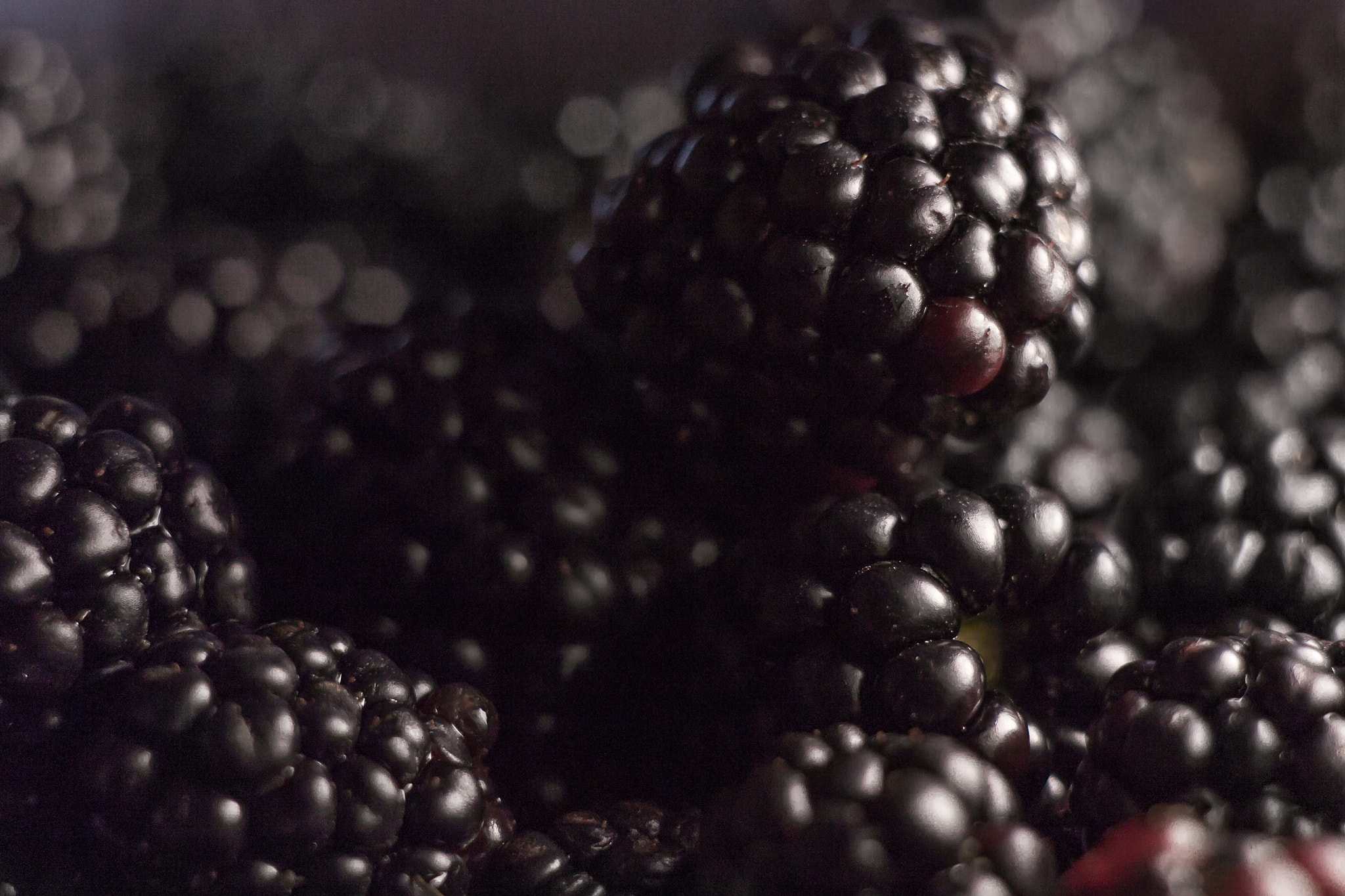 Canon EF 35-80mm f/4-5.6 sample photo. Blackberry photography