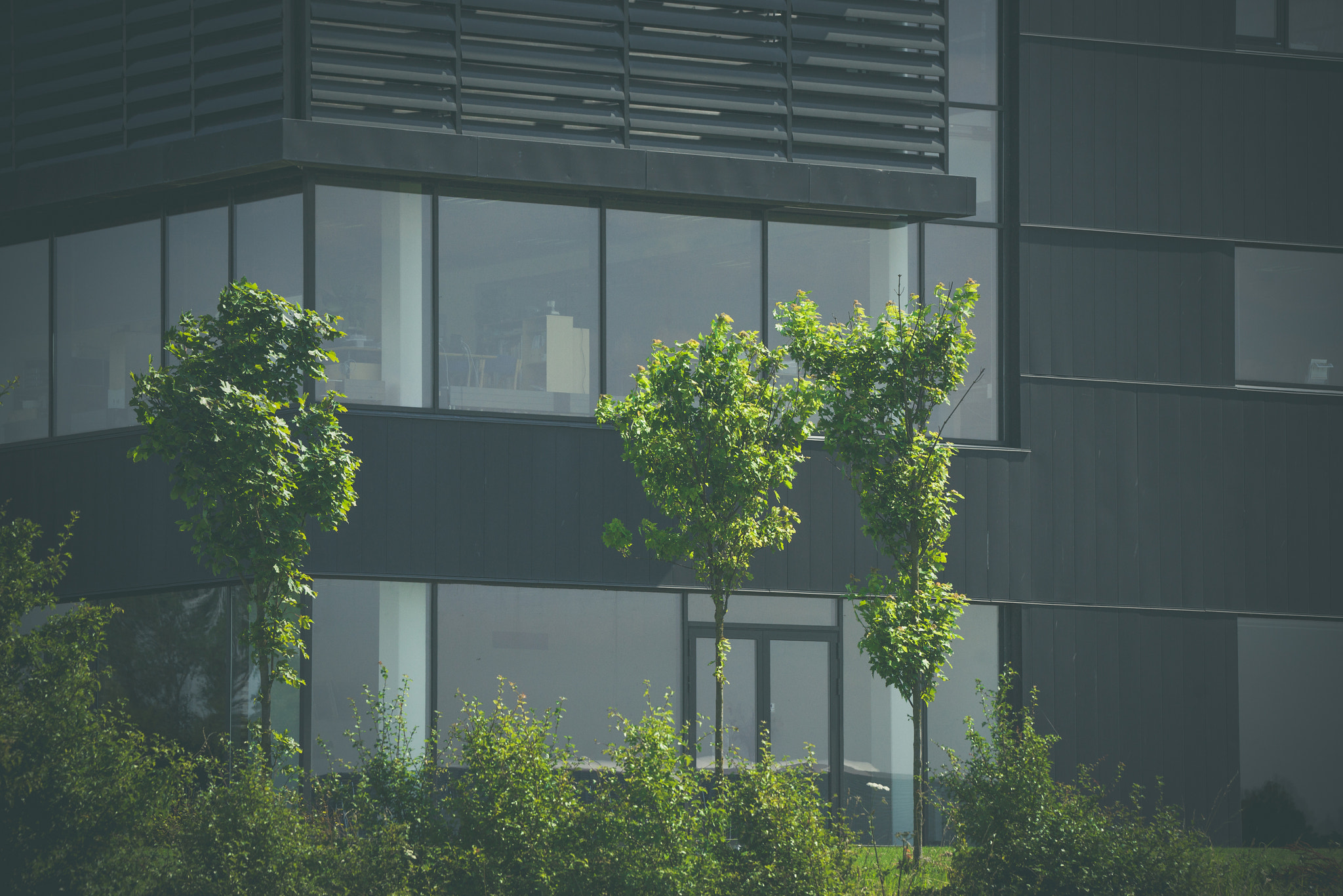 Sony 70-400mm F4-5.6 G SSM II sample photo. Green trees in front of an office photography