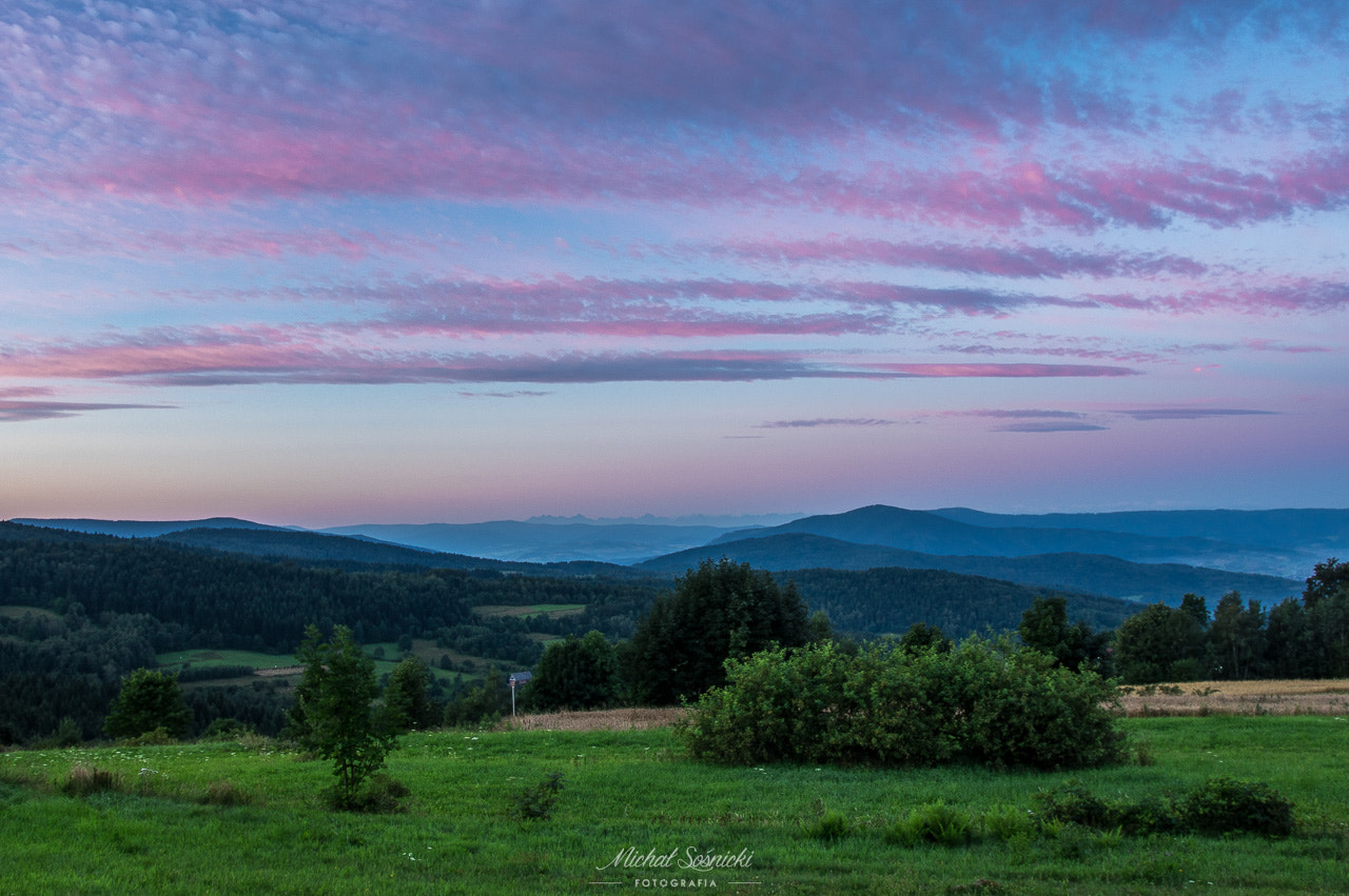 Pentax K-3 + Sigma 18-35mm F1.8 DC HSM Art sample photo. Kudłacze... photography