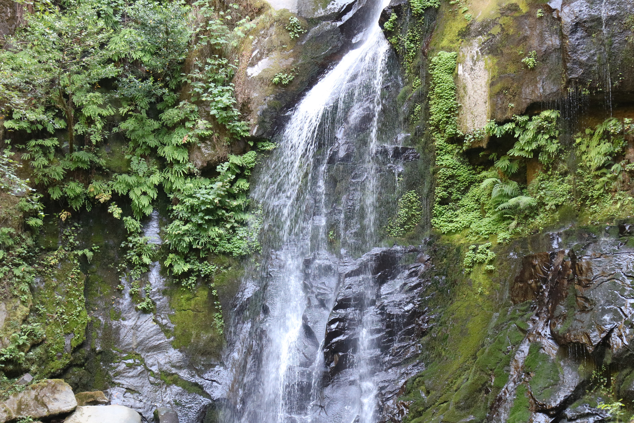 Canon EOS 760D (EOS Rebel T6s / EOS 8000D) sample photo. Elk creek falls photography
