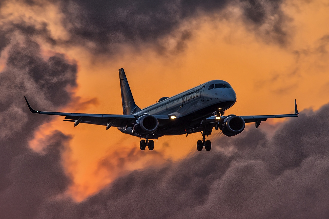 Sigma 150-600mm F5-6.3 DG OS HSM | S sample photo. Jet blue photography