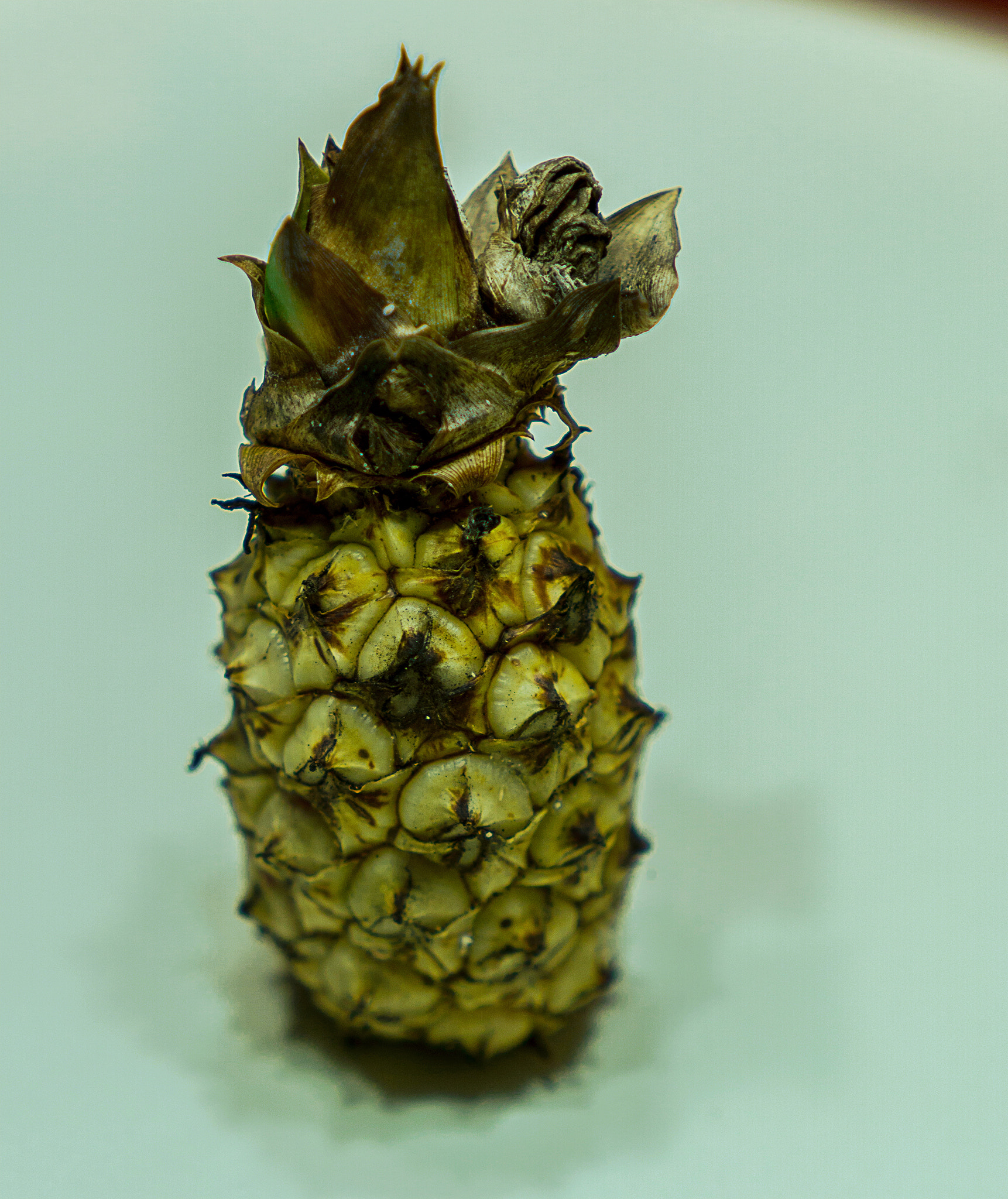 Sony FE 28mm F2 sample photo. Pineapple photography