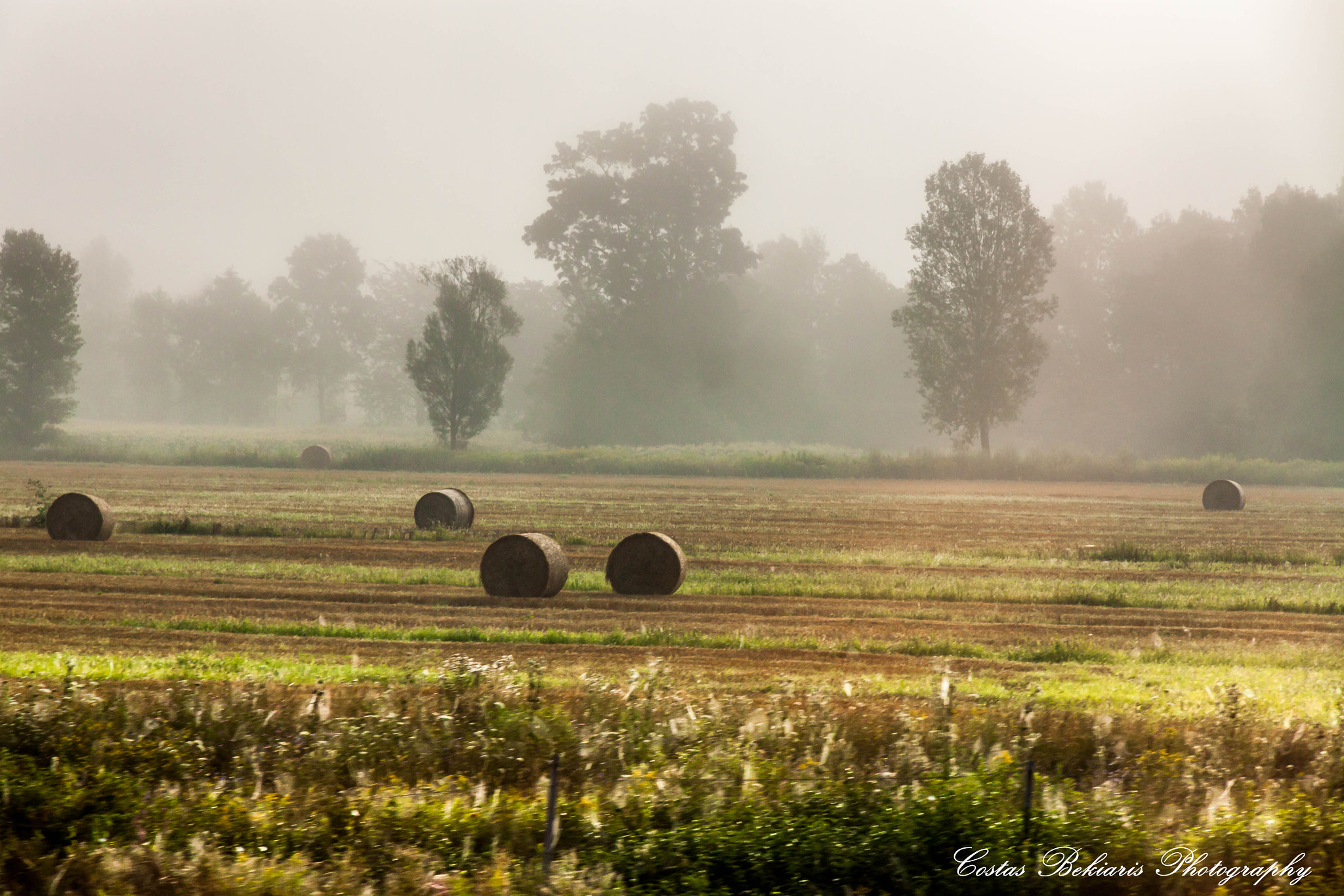Canon EOS 50D sample photo. Serbia photography