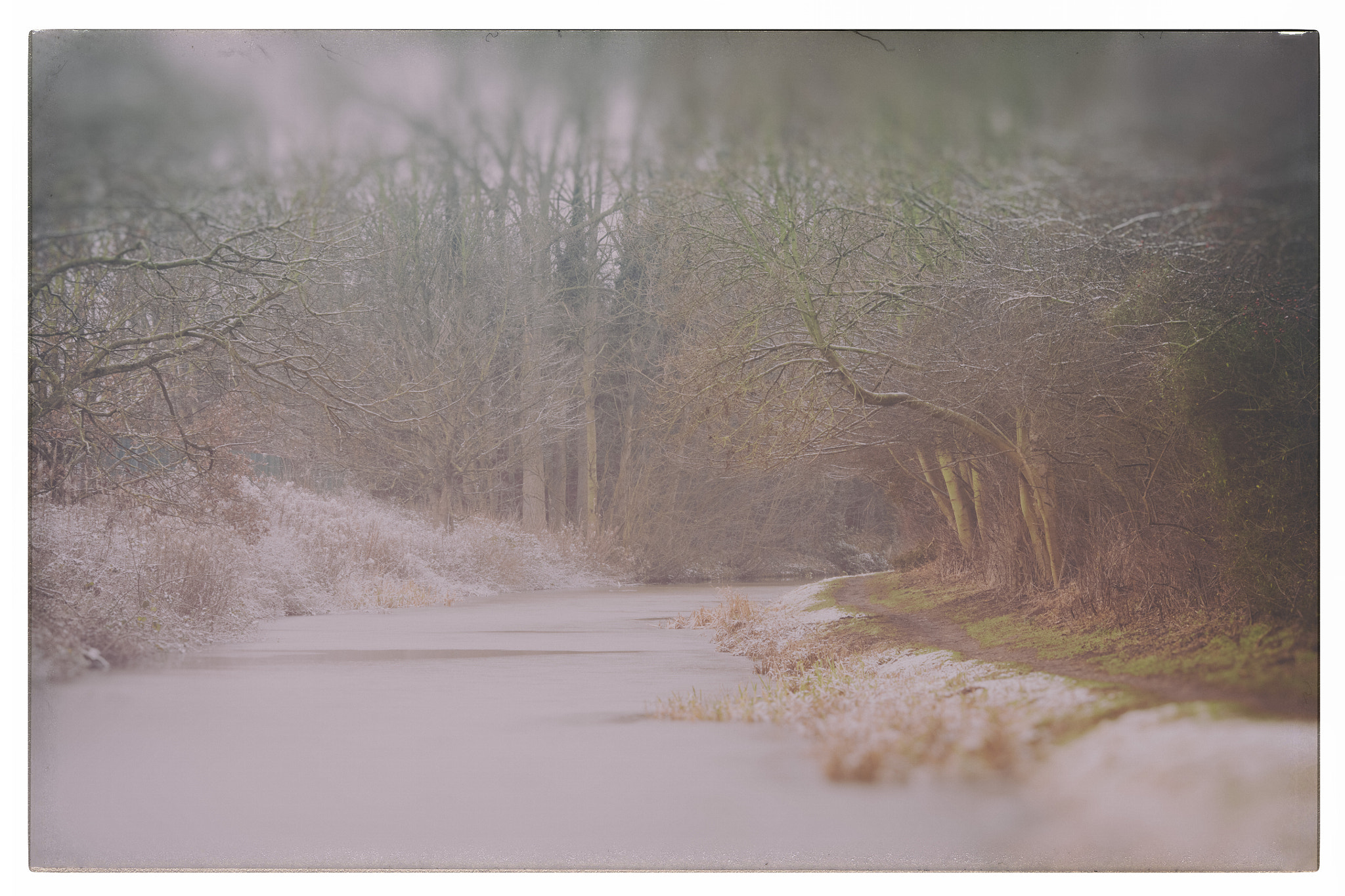 Canon EOS 5DS R + Canon EF 135mm F2L USM sample photo. Landscape, wildelife photography