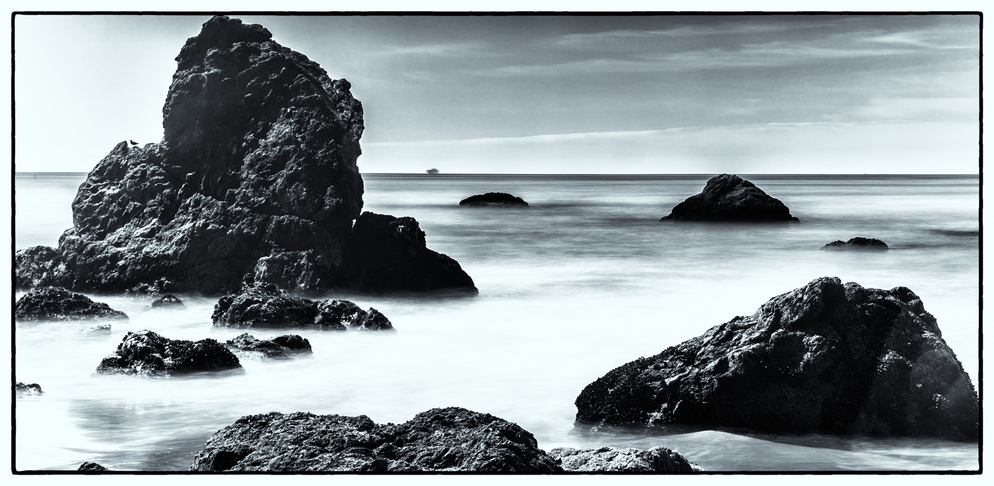 Sony a7R + 24-70mm F2.8 sample photo. Bird on a rock photography