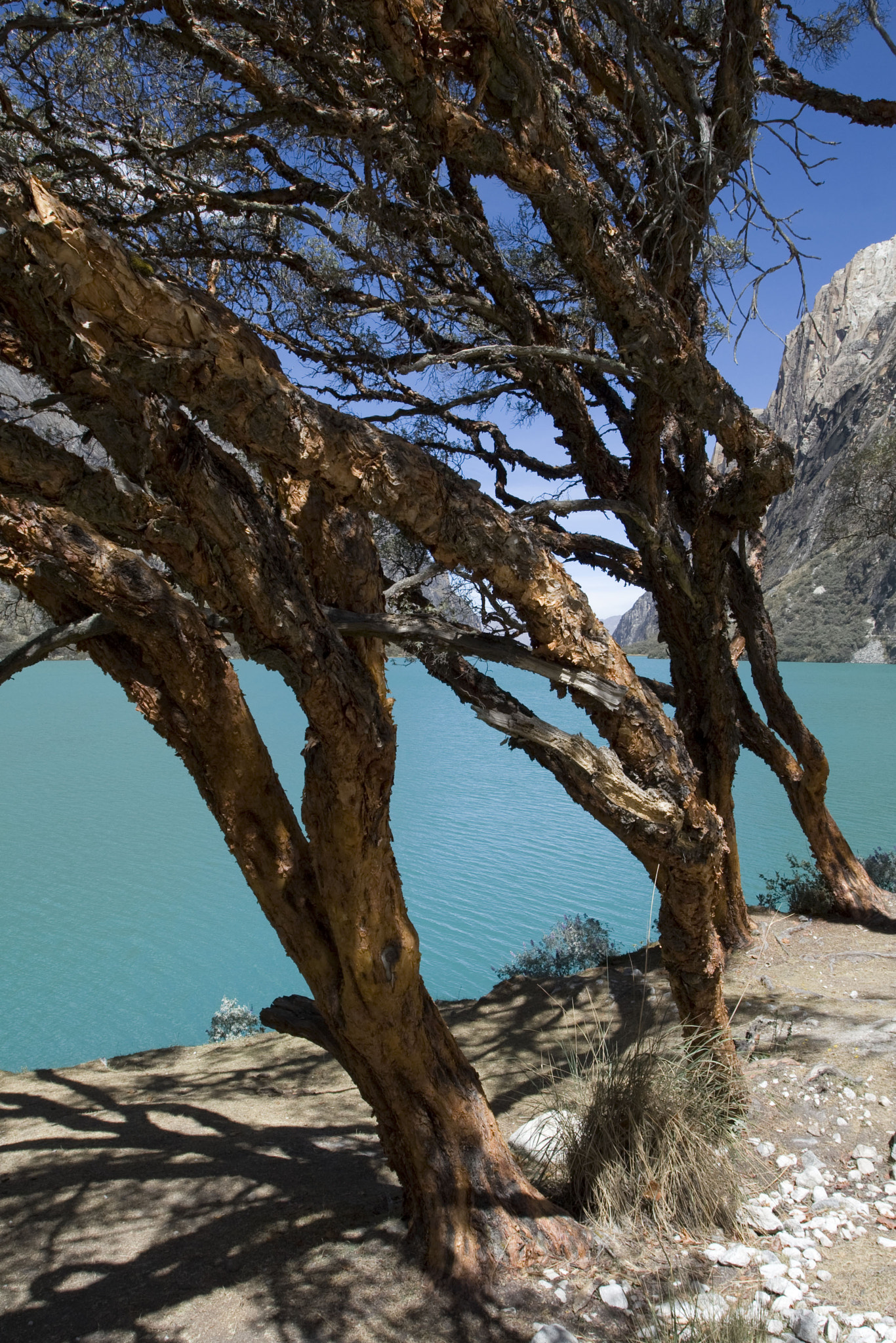 Canon EOS 30D + Canon EF 17-40mm F4L USM sample photo. Lake in parque nacional huascarán photography