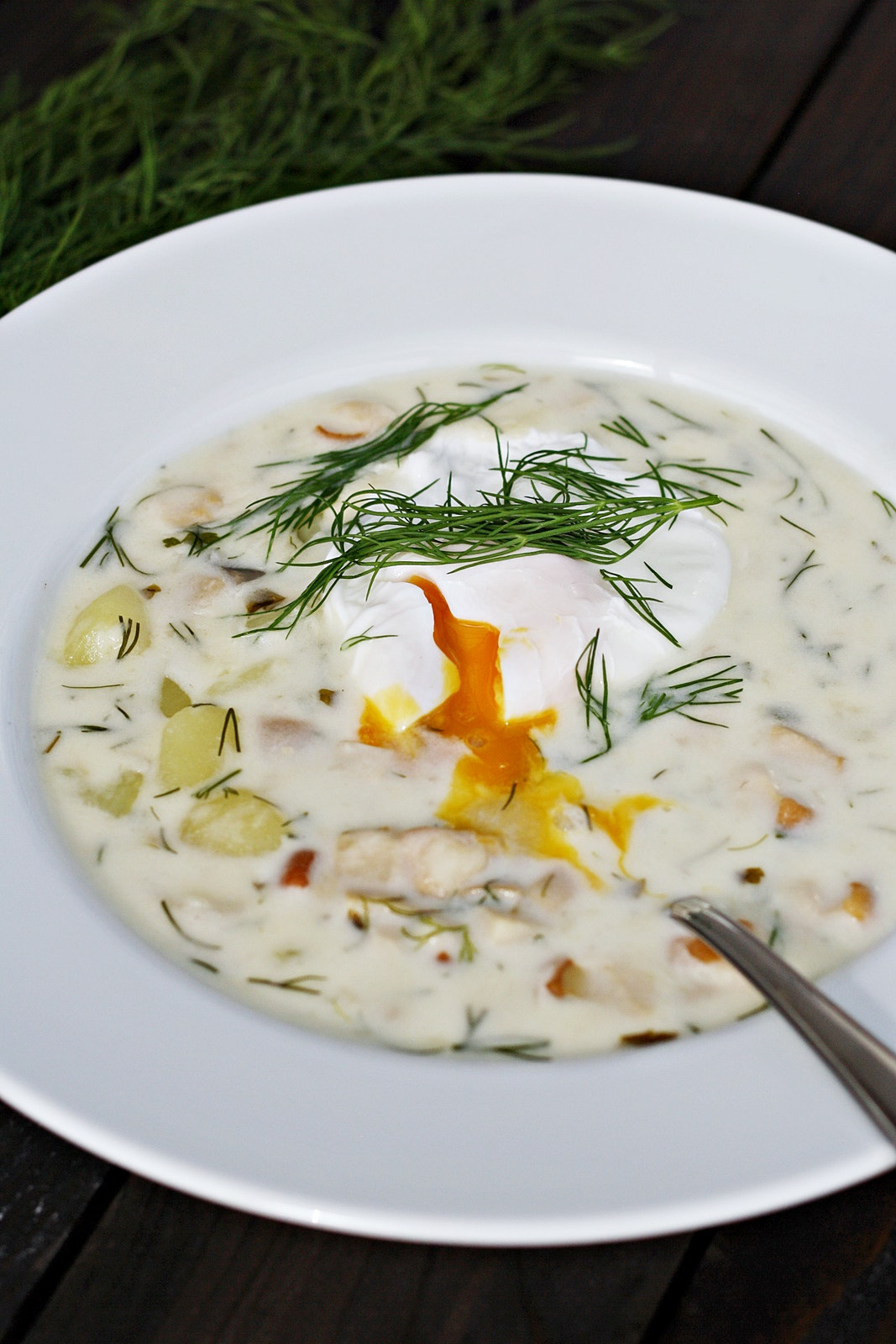 Canon EOS 1000D (EOS Digital Rebel XS / EOS Kiss F) + Canon EF 50mm F1.8 II sample photo. Creamy mushroom and dill soup with poached egg photography
