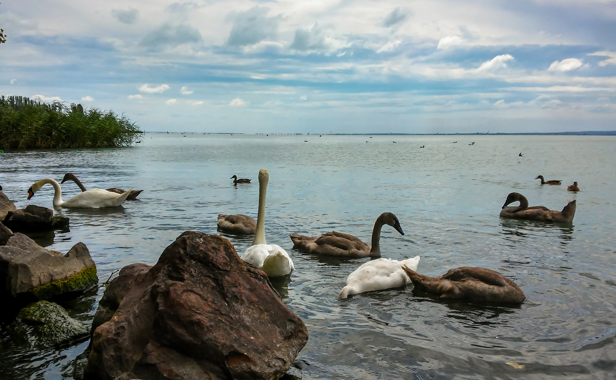 LG D620R sample photo. Balatonfüred photography