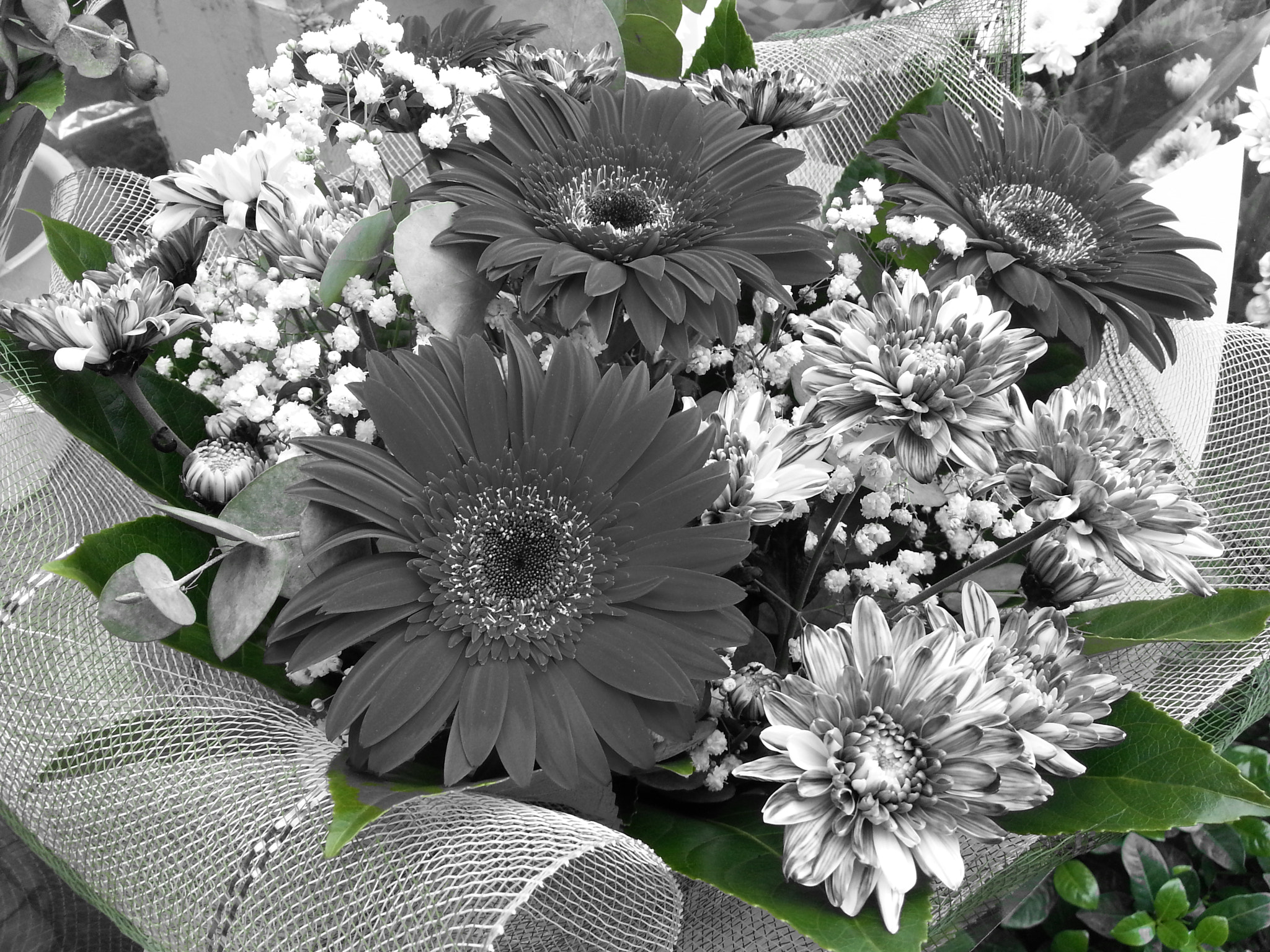 Samsung GT-I8750 sample photo. Bouquet of gerberas and chrysanthemum photography