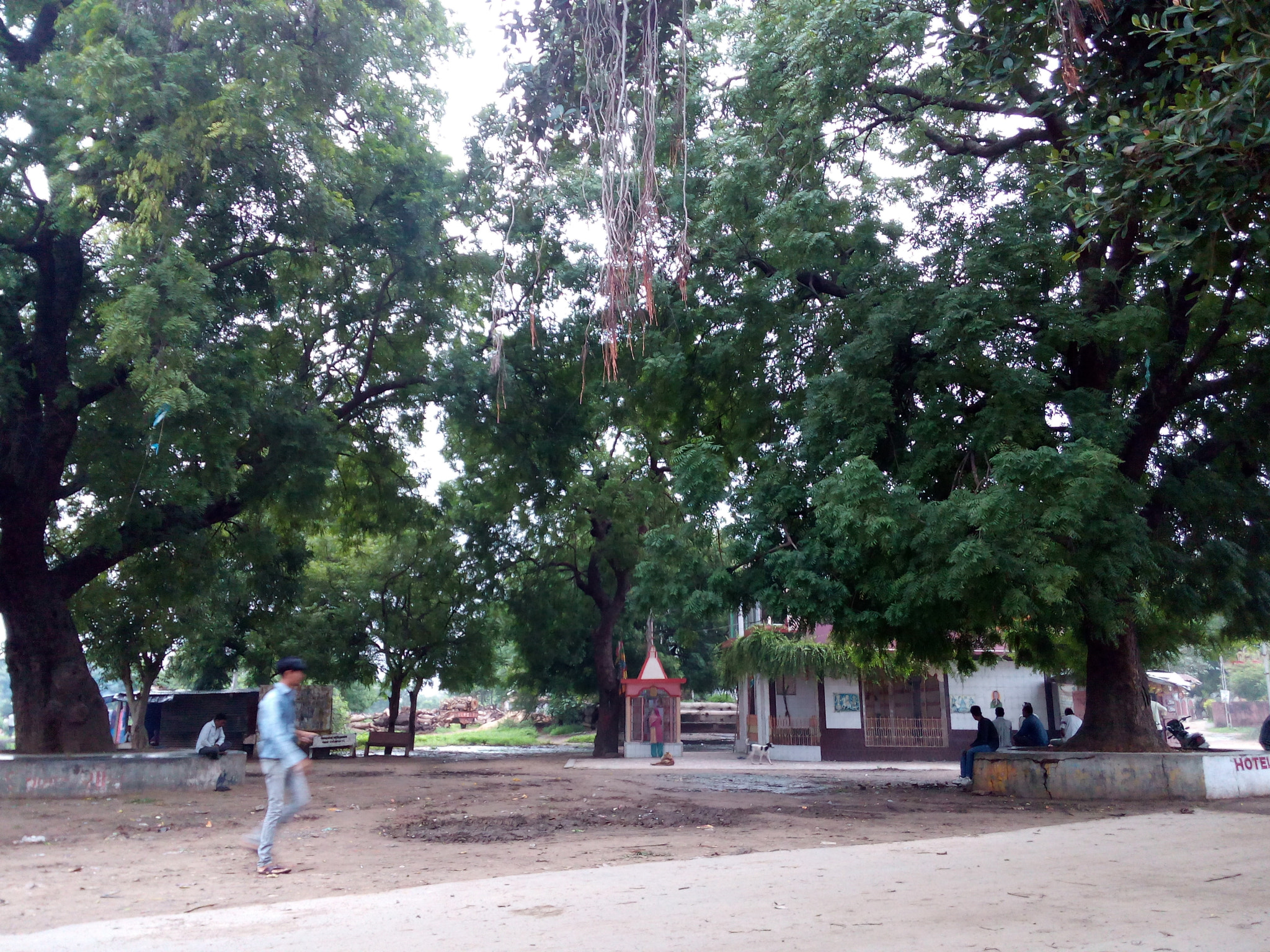Micromax Canvas Spark sample photo. A morning in village photography