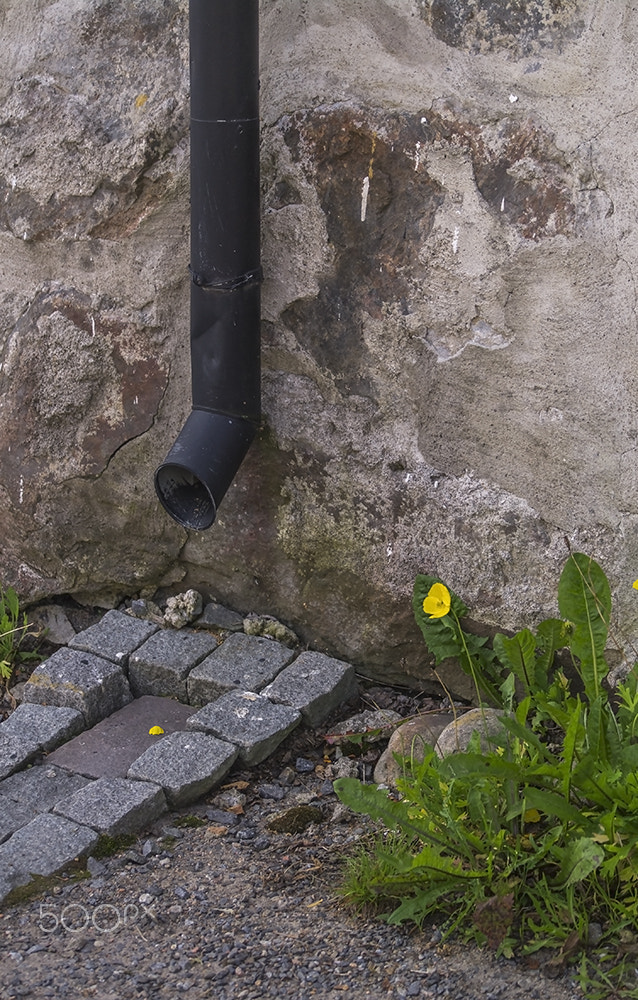 Samsung NX 50-200mm F4-5.6 ED OIS sample photo. Ränni photography