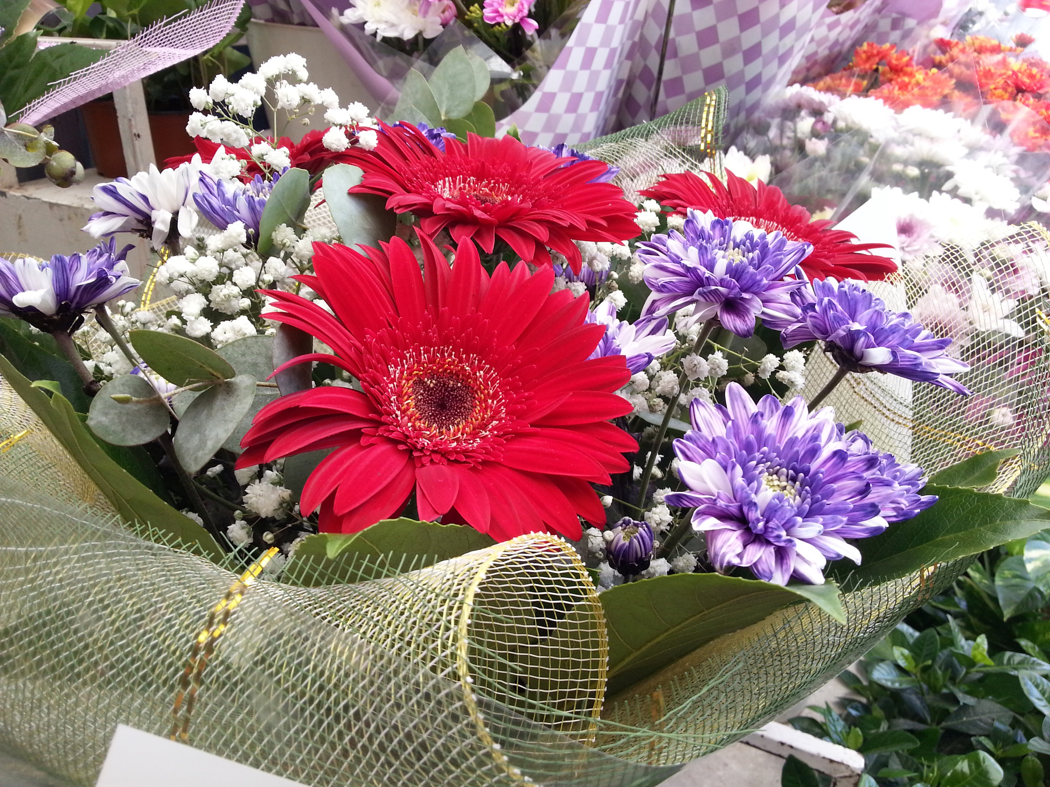 Samsung GT-I8750 sample photo. Bouquet at flower shop photography