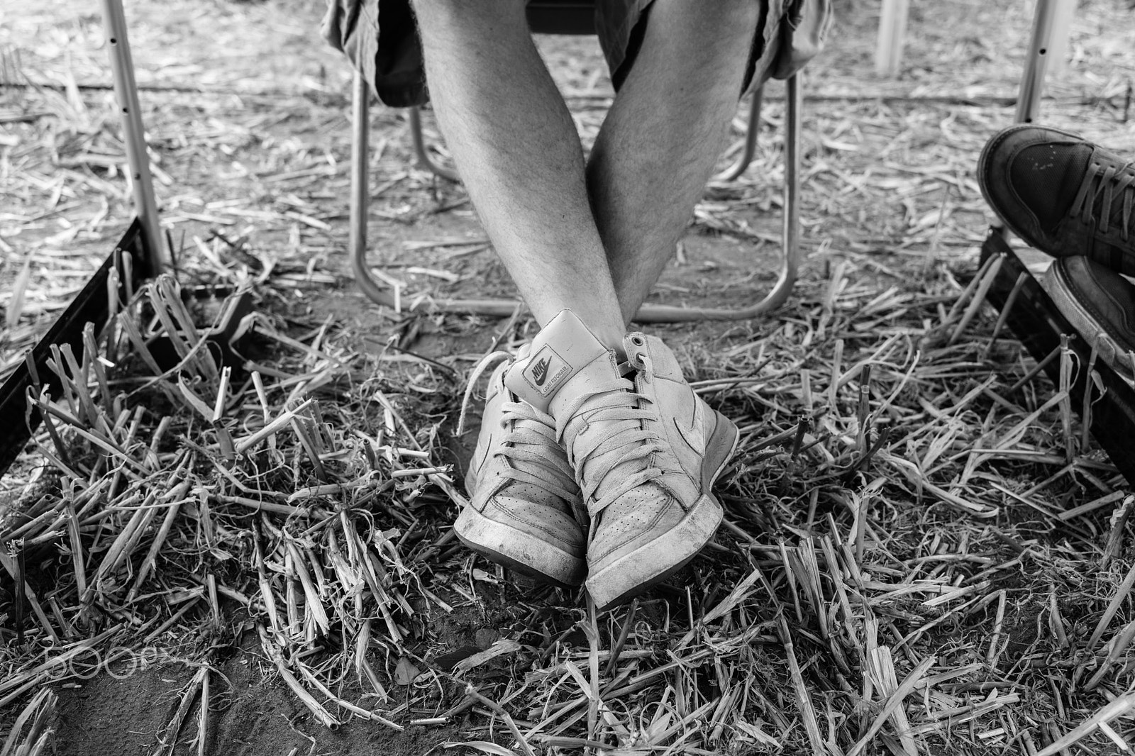 Sony a7 + E 35mm F2 sample photo. Nikes in the field photography