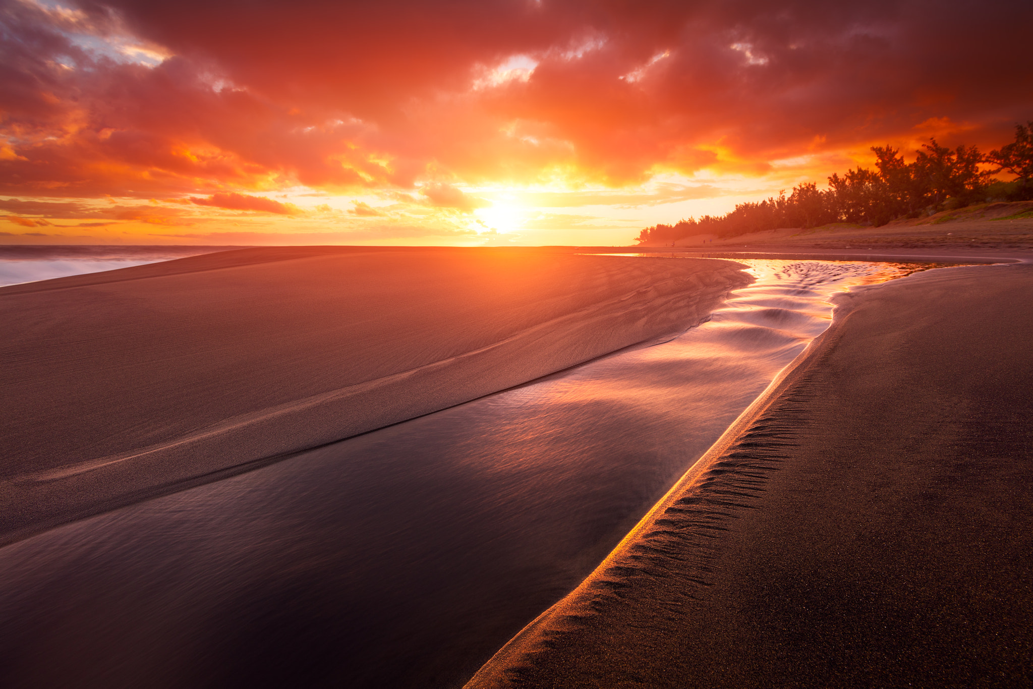 Canon EF 14mm F2.8L II USM sample photo. Golden sunset photography