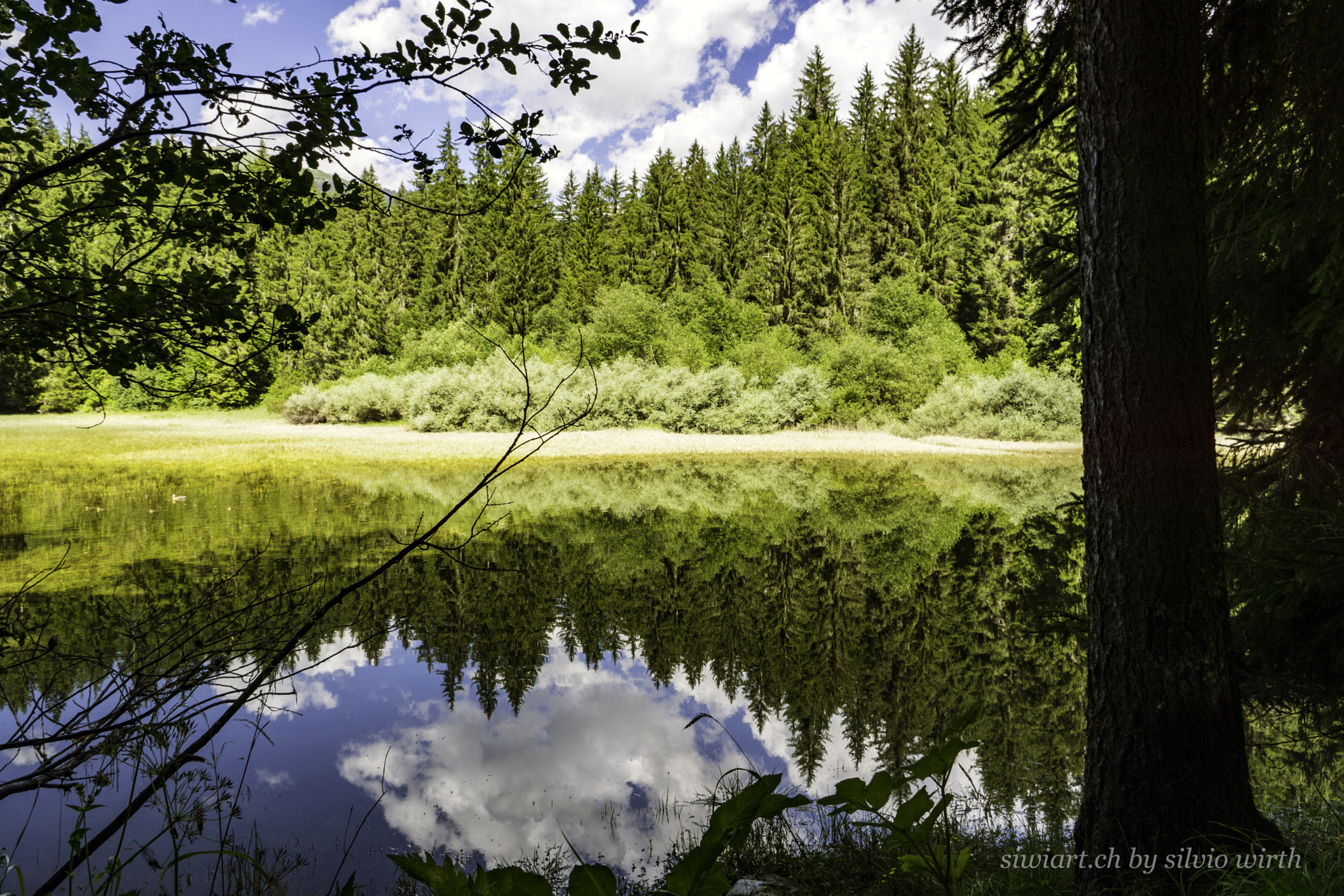 Sony DT 16-105mm F3.5-5.6 sample photo. Reflection  /spiegelung photography