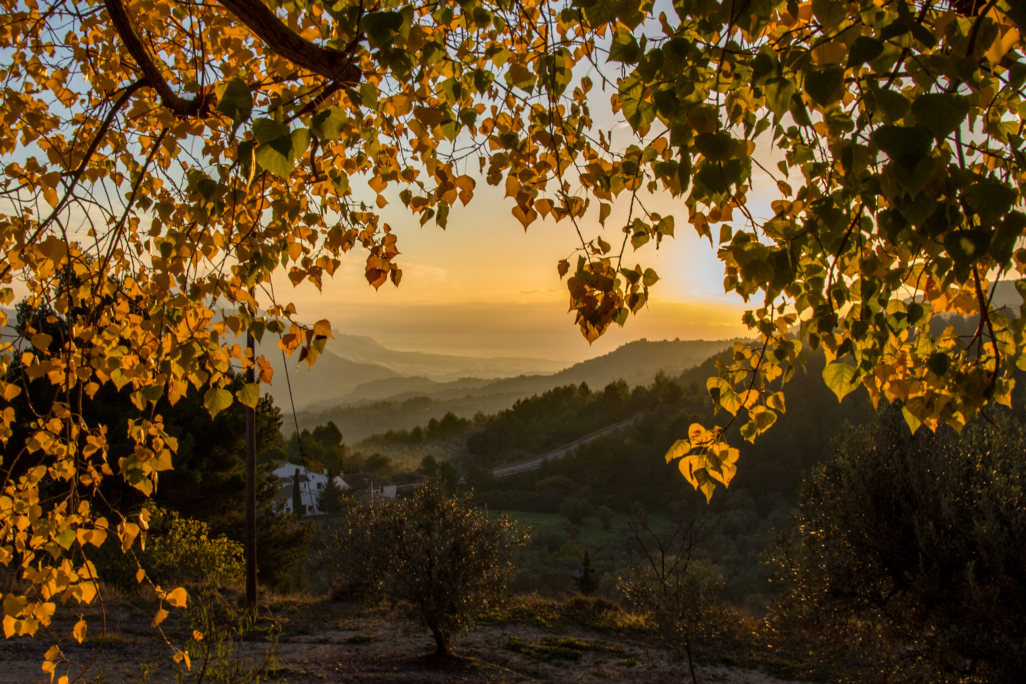 Canon EOS 100D (EOS Rebel SL1 / EOS Kiss X7) + Tamron 18-270mm F3.5-6.3 Di II VC PZD sample photo. Spanish autumn sunrise photography