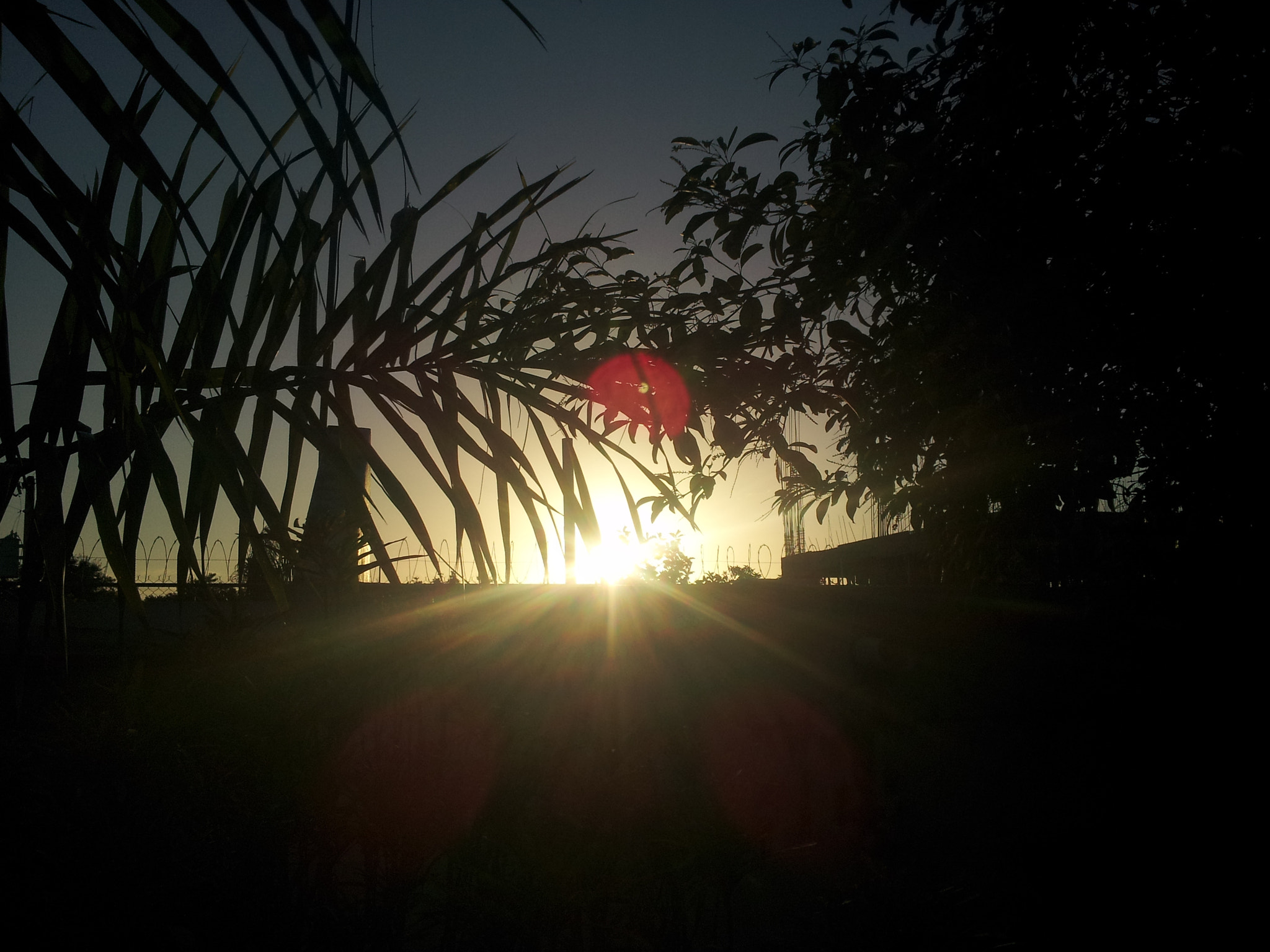 Samsung Galaxy S2 Skyrocket sample photo