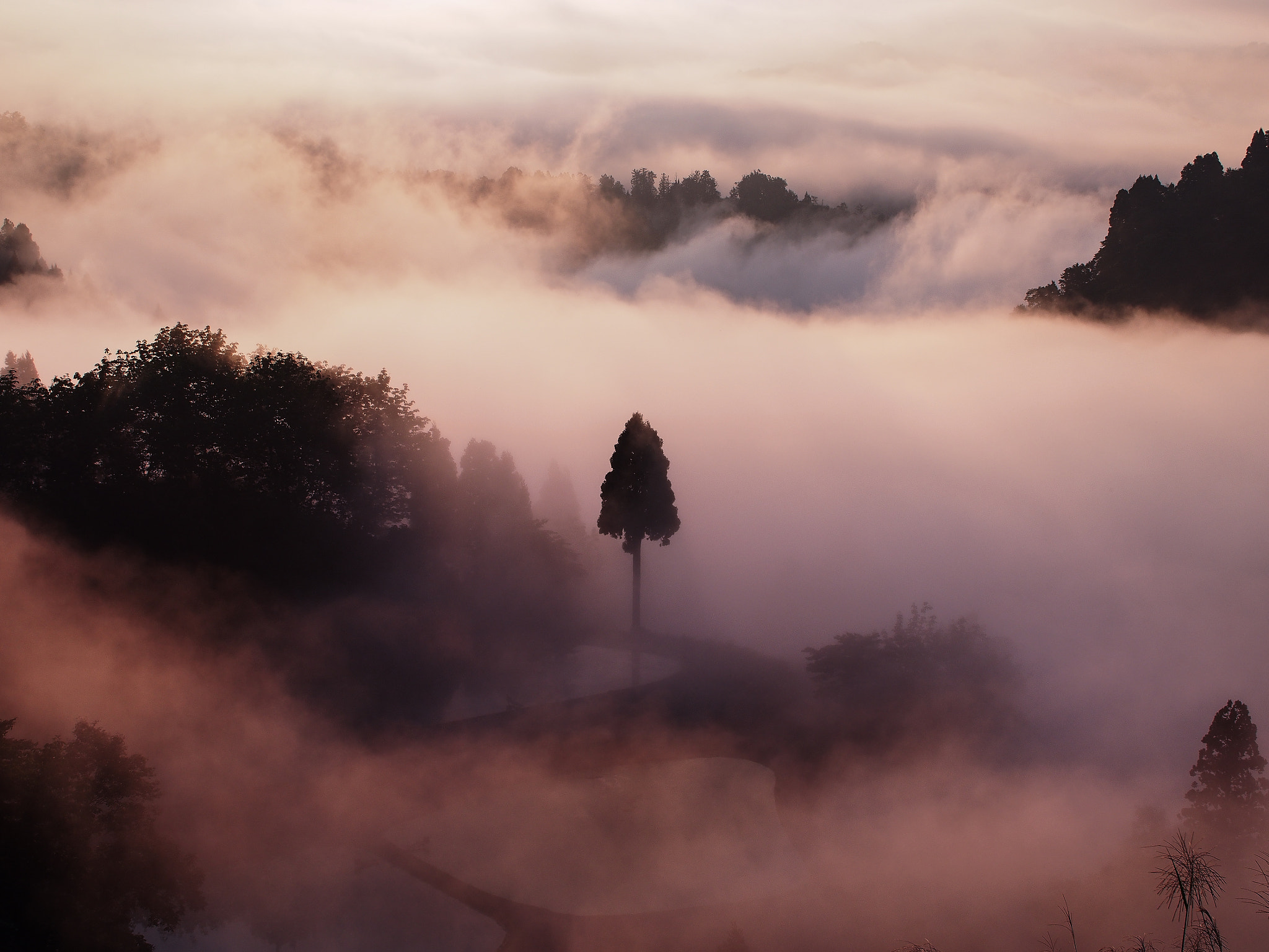 Olympus PEN E-PM2 + Sigma 30mm F2.8 DN Art sample photo. Fog photography