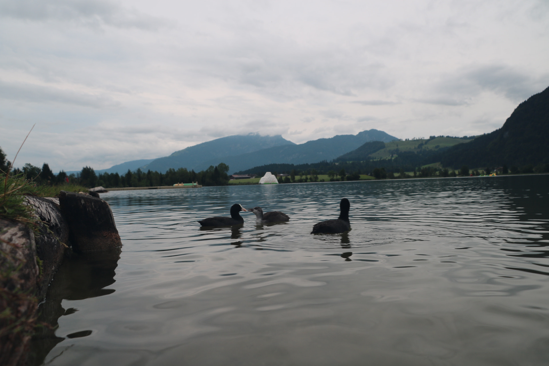 Canon EOS 750D (EOS Rebel T6i / EOS Kiss X8i) sample photo. Lake  photography