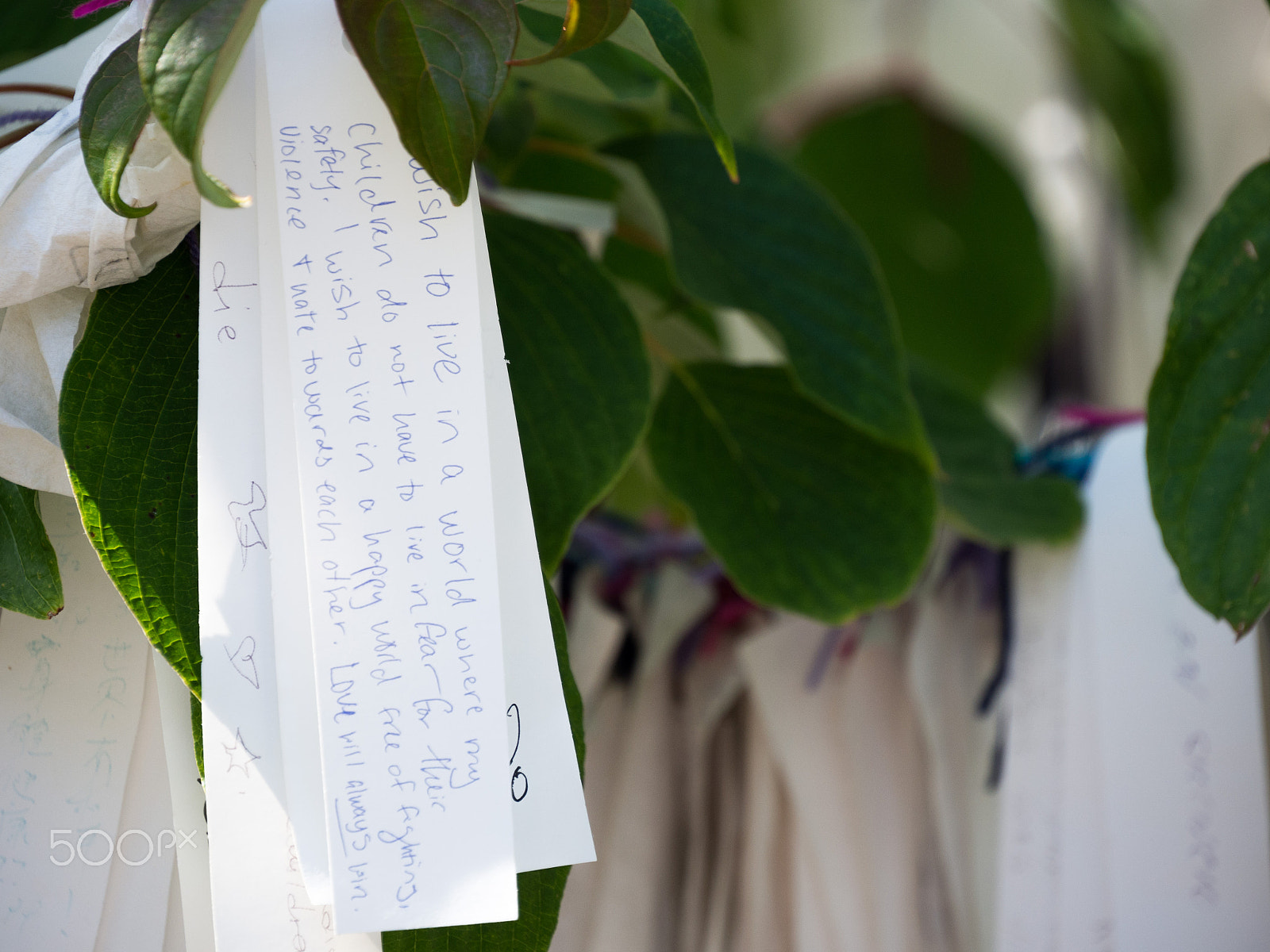 Olympus OM-D E-M10 sample photo. Peace messages on a tree photography
