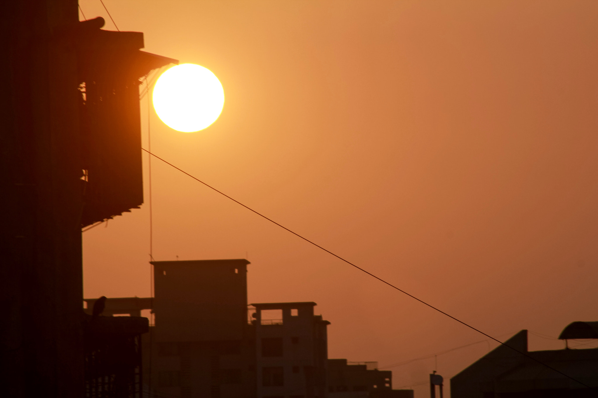 Canon EOS 550D (EOS Rebel T2i / EOS Kiss X4) + Canon EF75-300mm f/4-5.6 USM sample photo. Sun on a tight rope.. photography